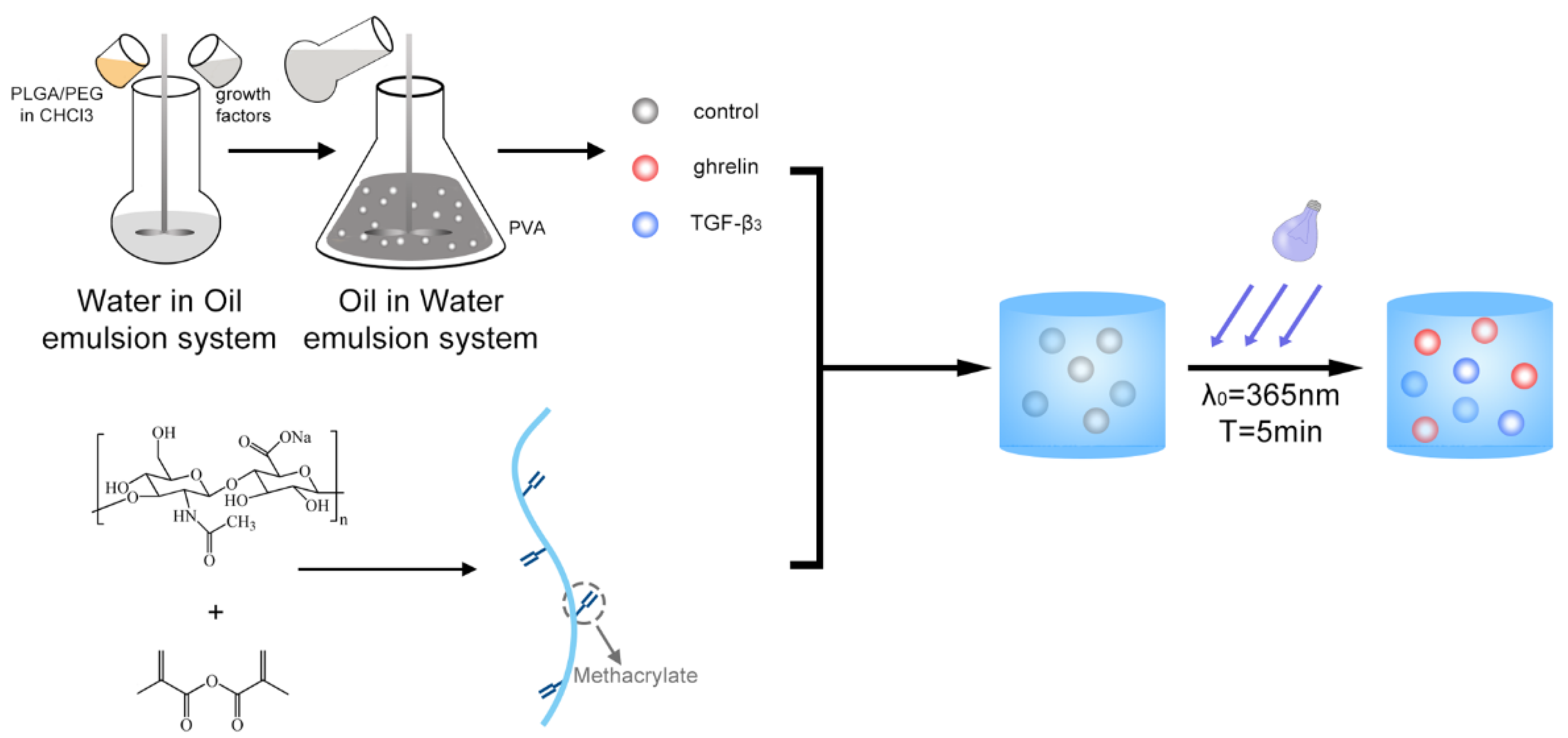 Molecules 26 05732 g001