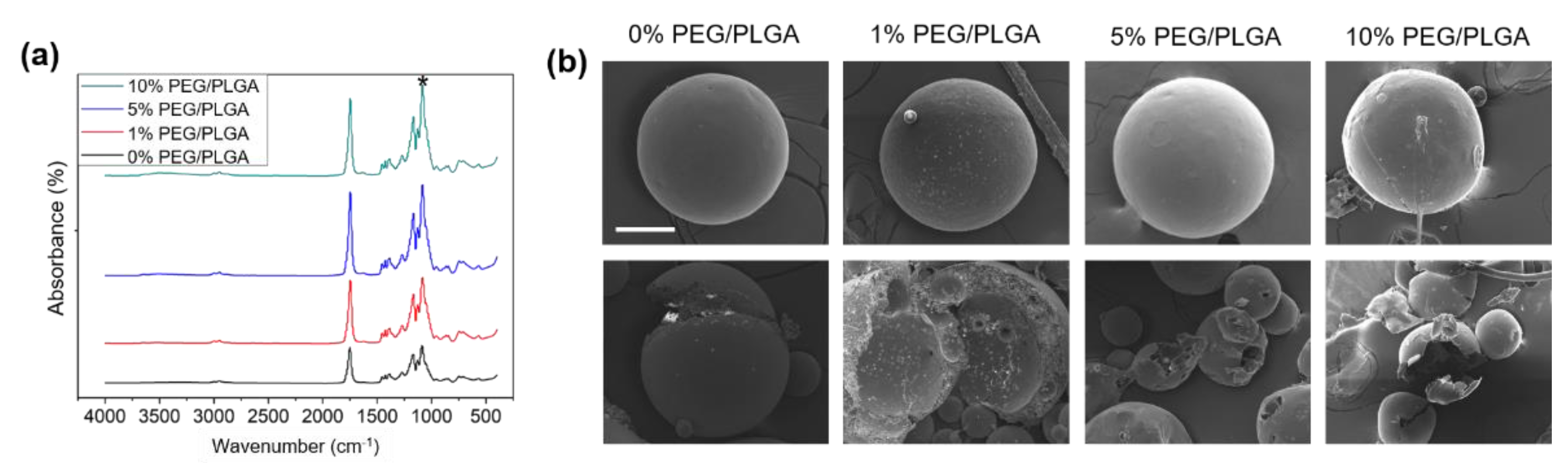 Molecules 26 05732 g002