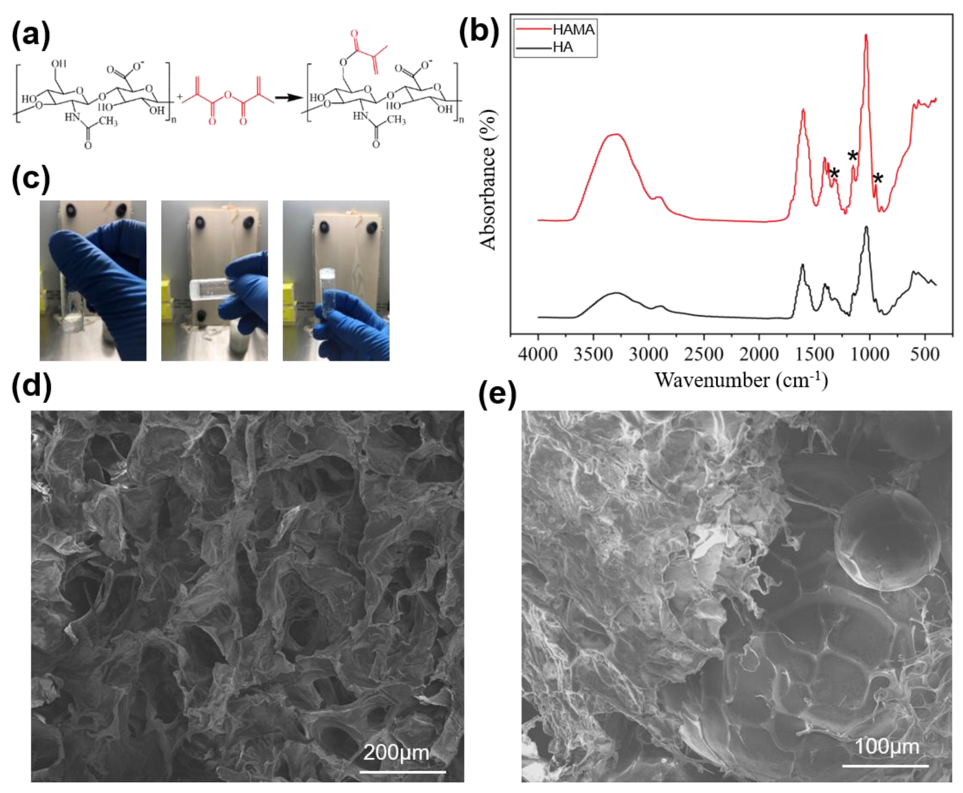 Molecules 26 05732 g003