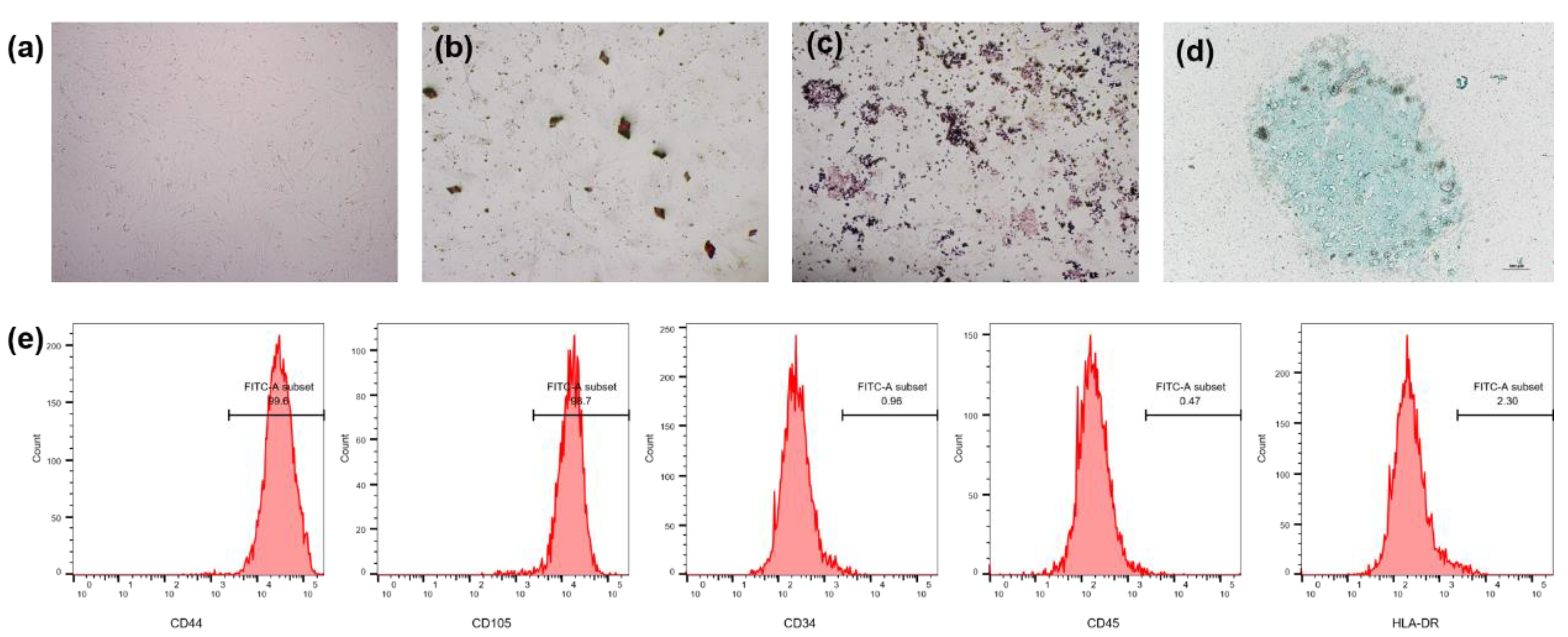 Molecules 26 05732 g006