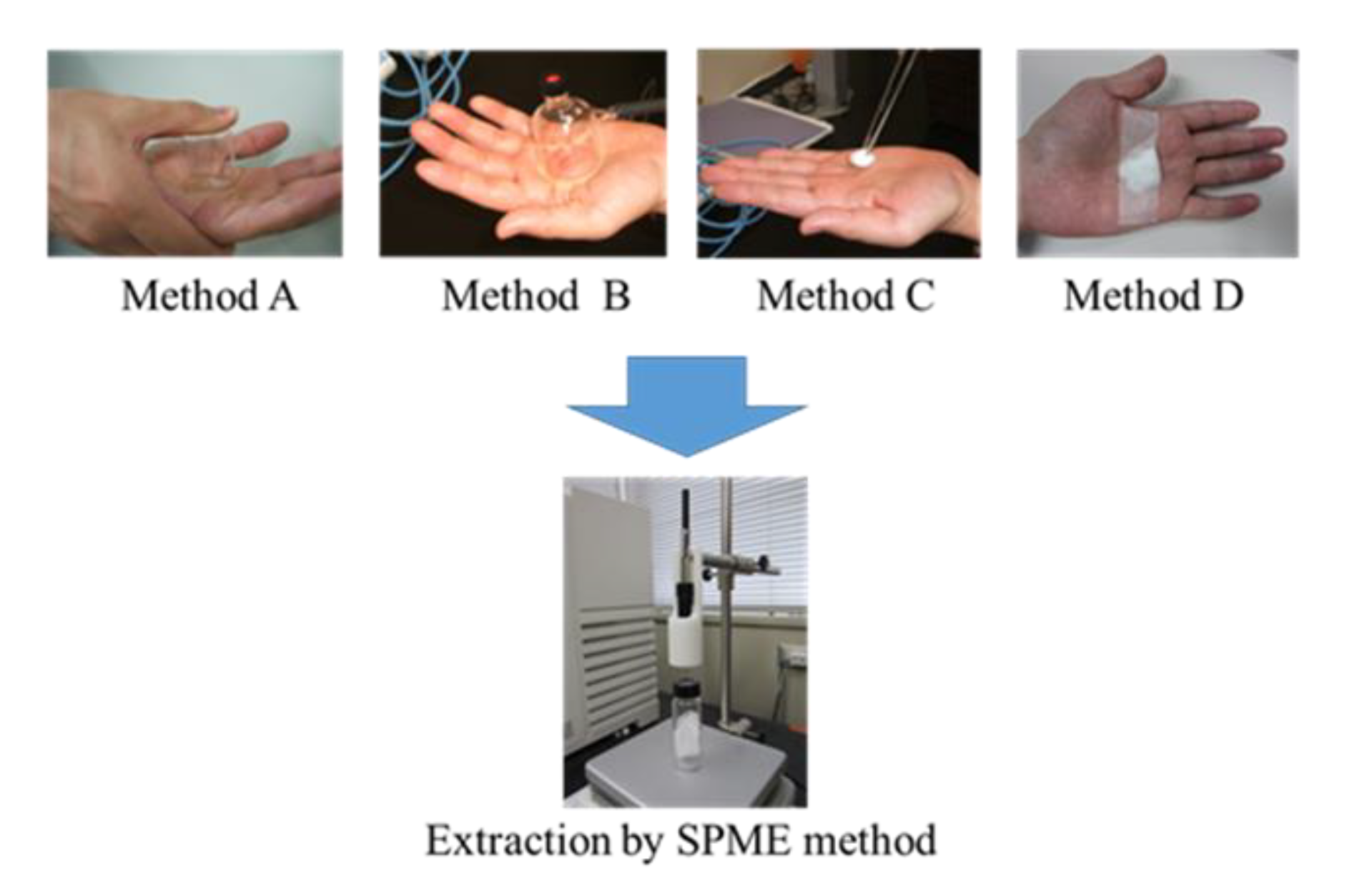 Molecules 26 05739 g007