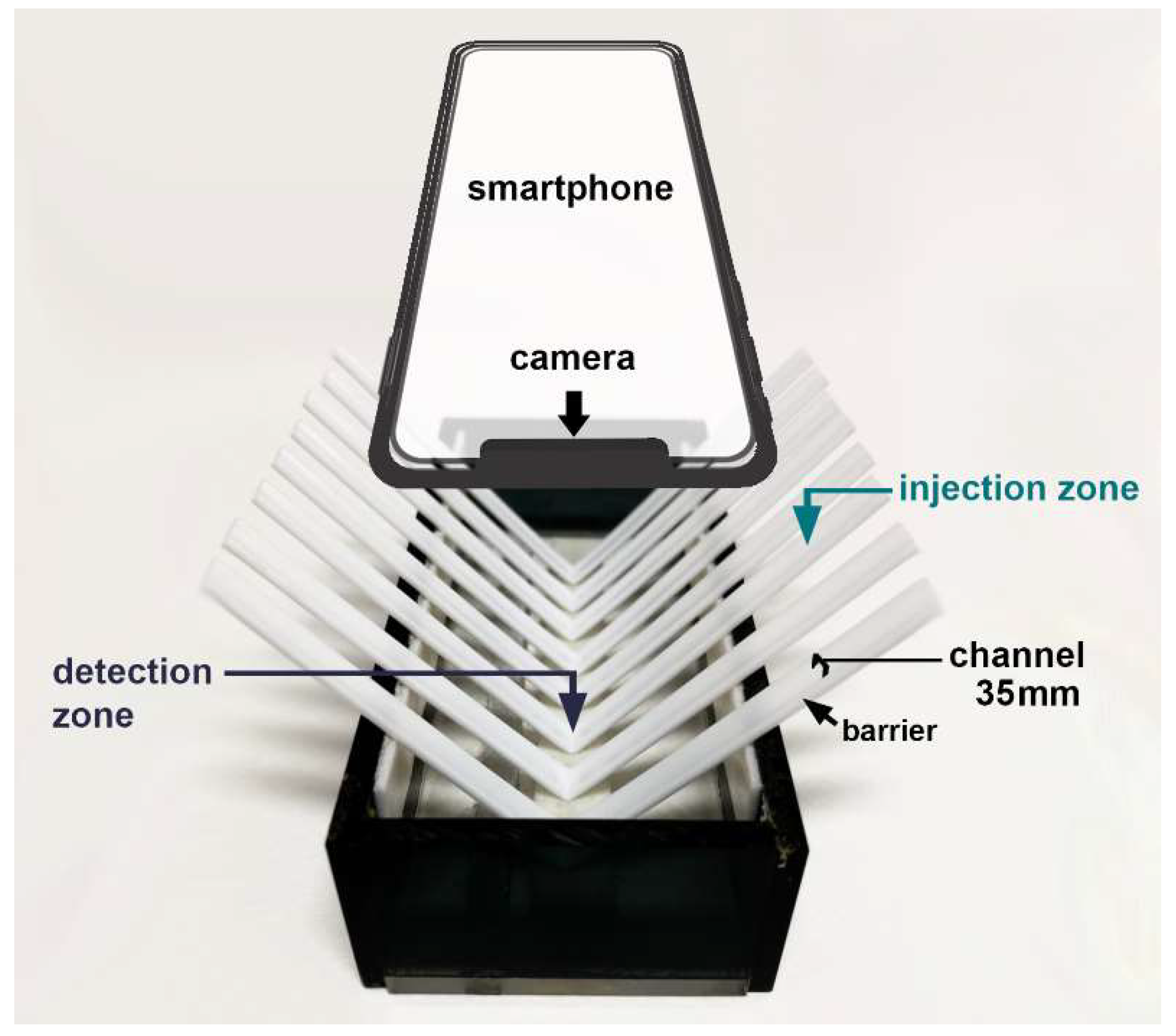 Molecules 26 05744 g005