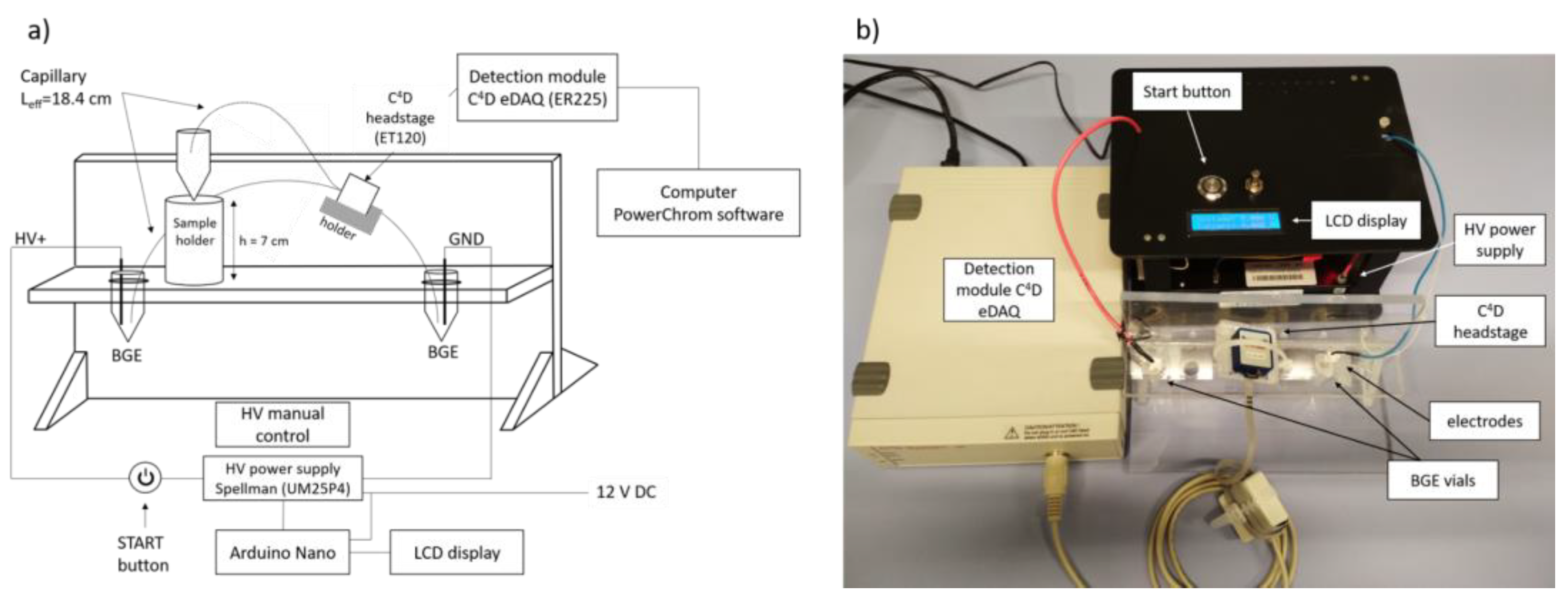 Molecules 26 05749 g003