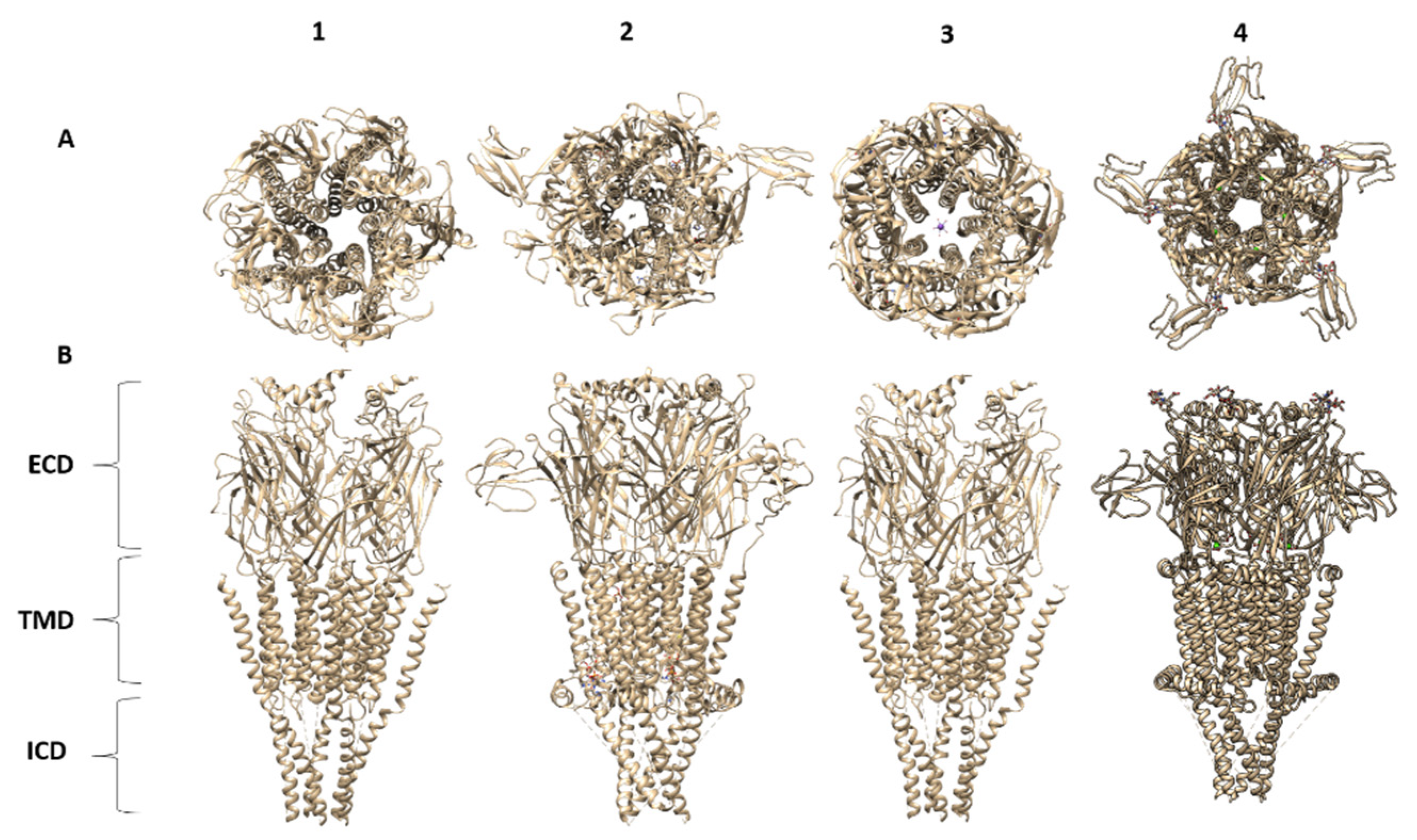 Molecules 26 05753 g002a