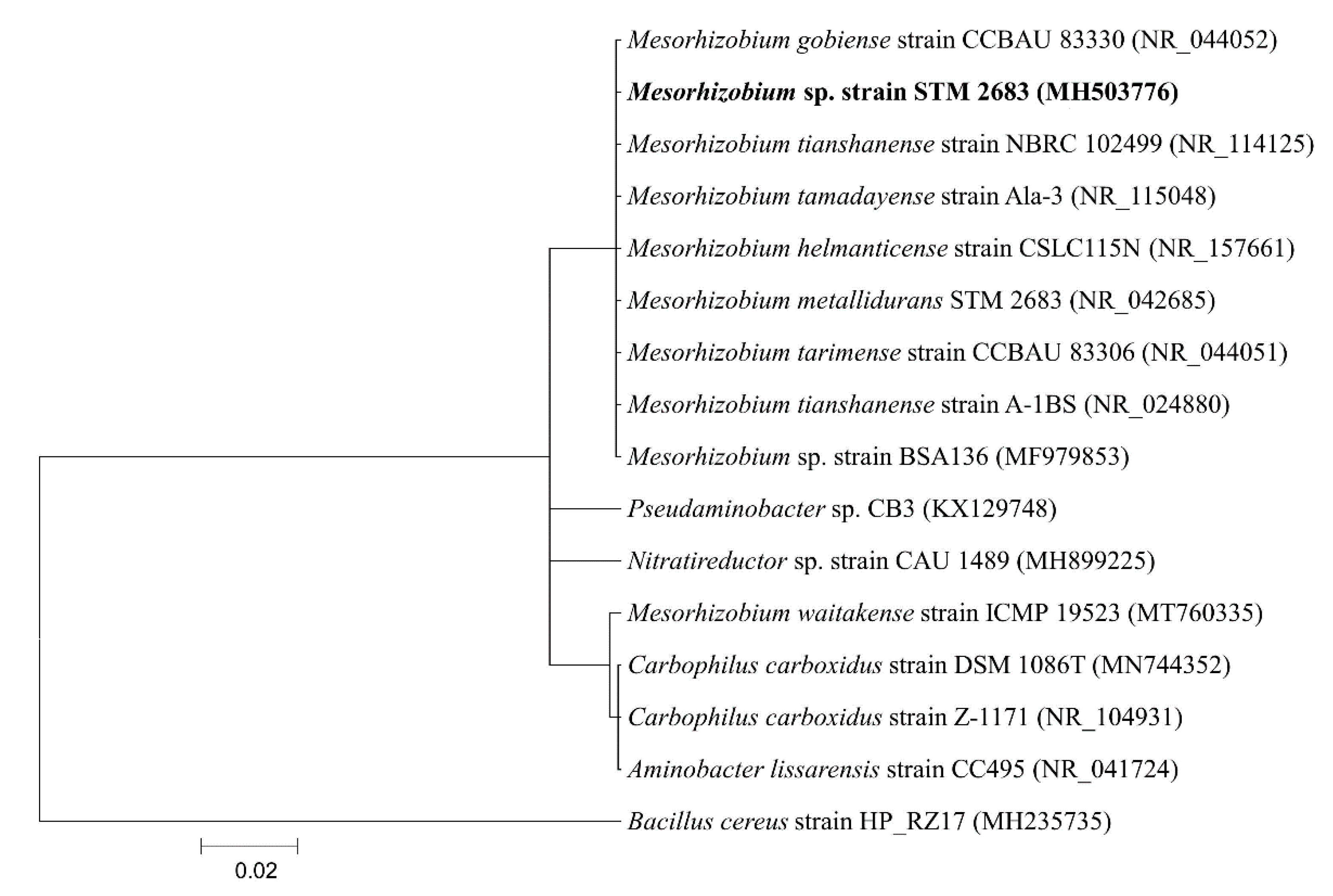 Molecules 26 05758 g002
