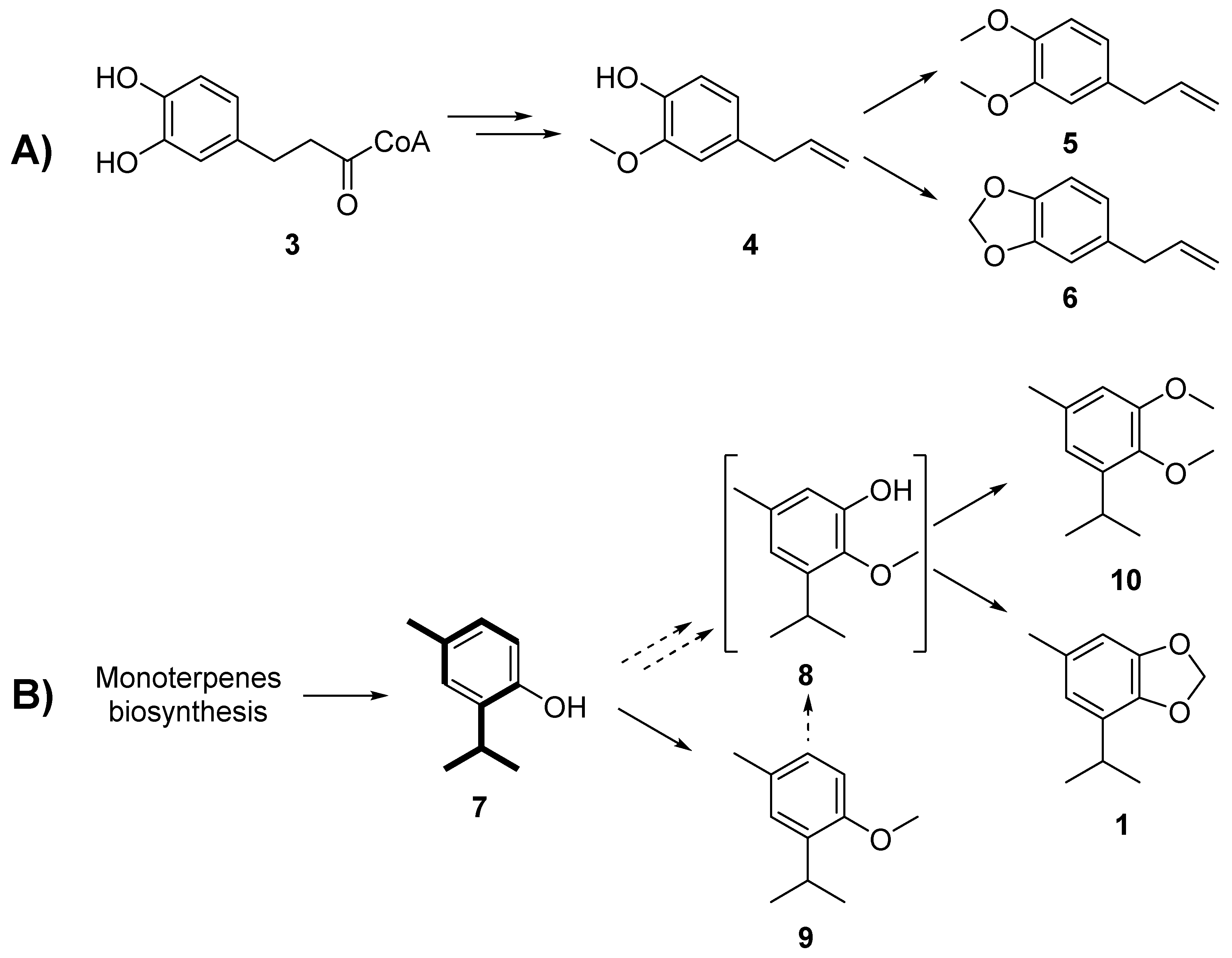 Molecules 26 05766 sch002