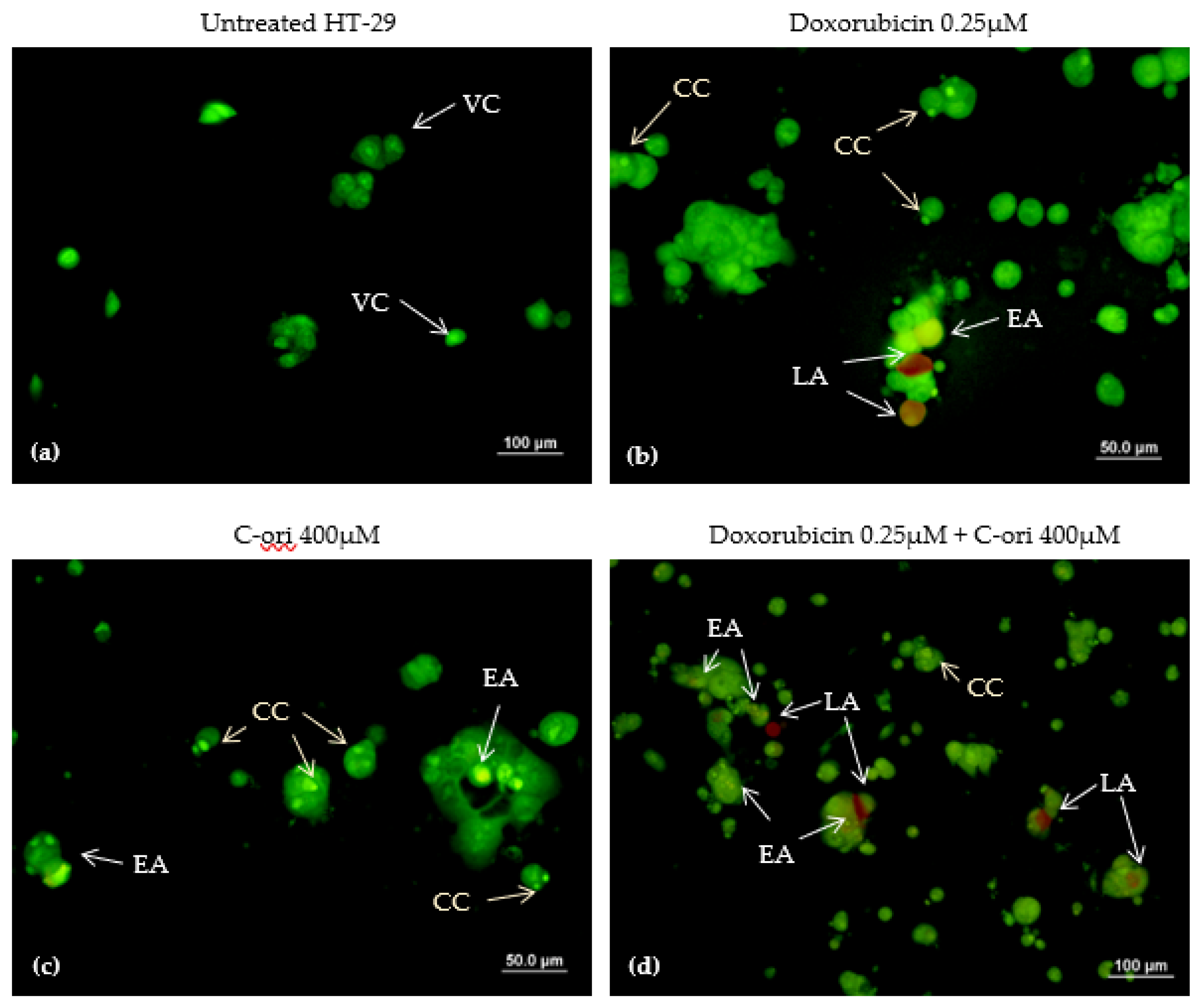 Molecules 26 05767 g005
