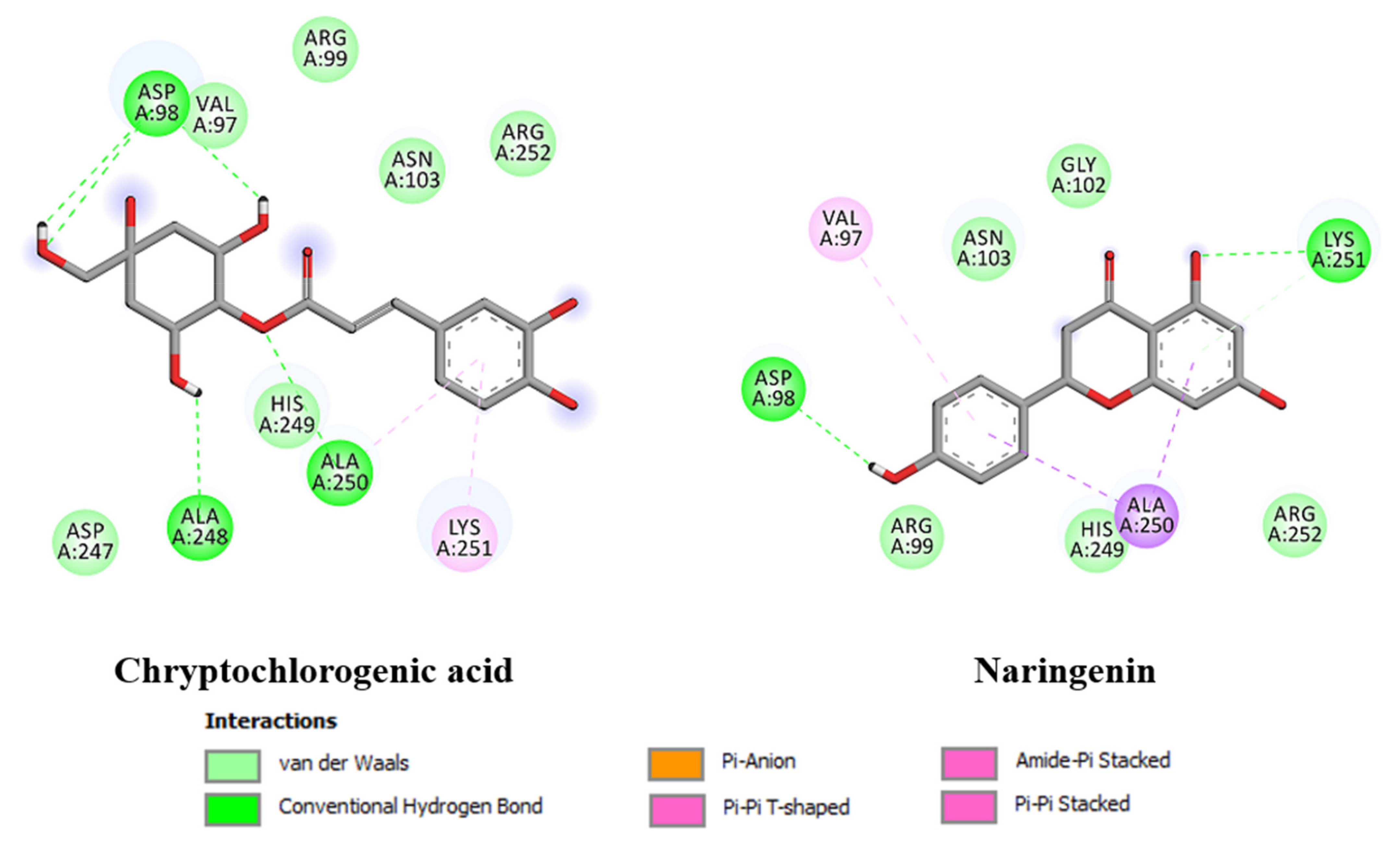 Molecules 26 05768 g005 Molecules 26 05768 g005
