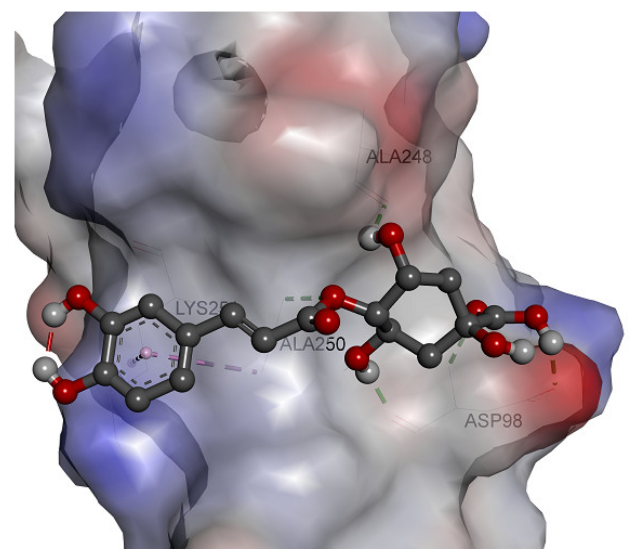 Molecules 26 05768 g006 Molecules 26 05768 g006