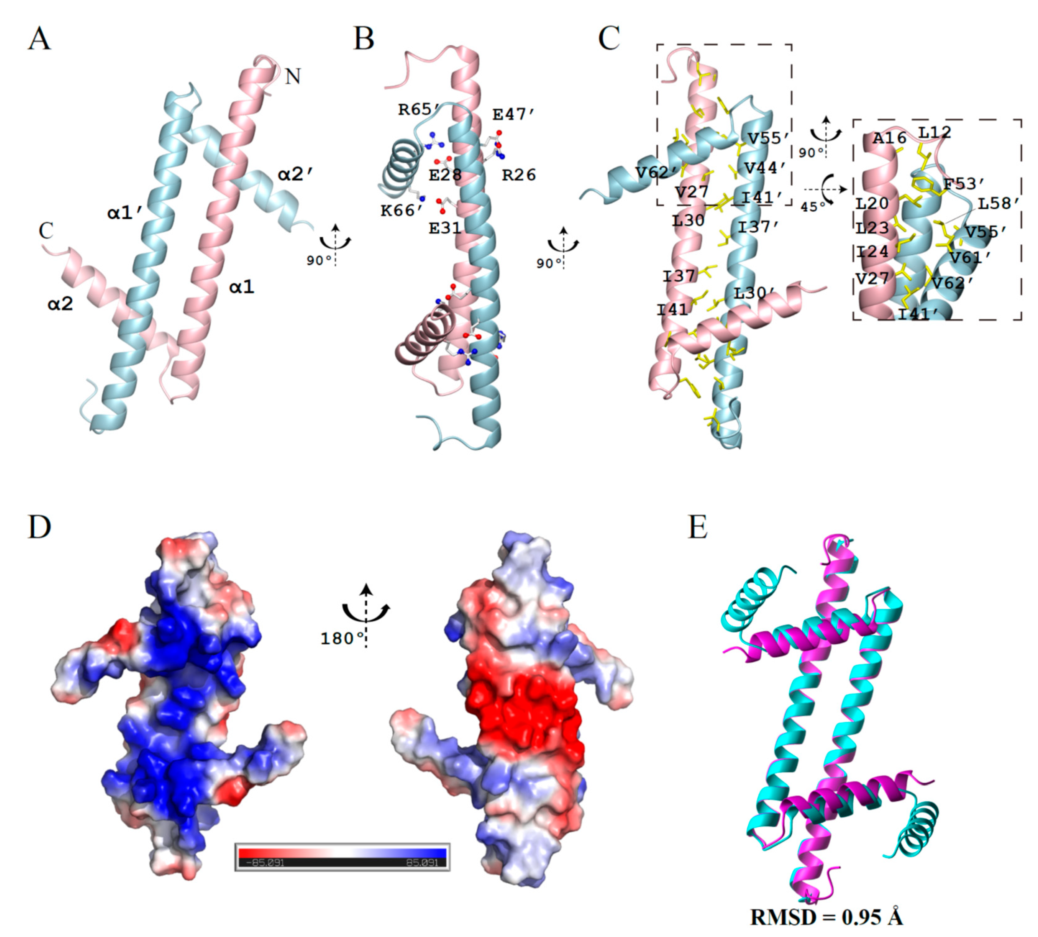 Molecules 26 05776 g001