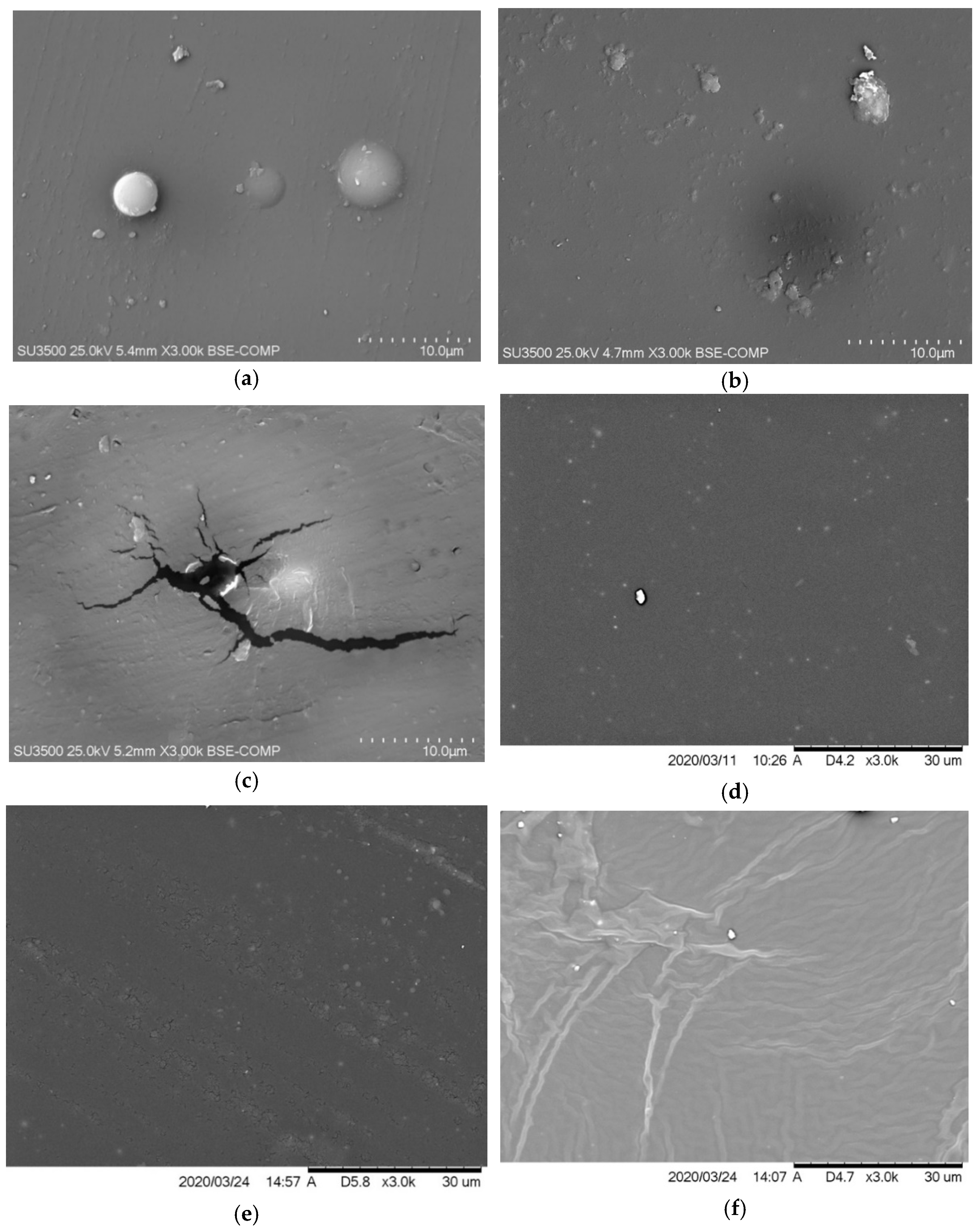 Molecules 26 05778 g008