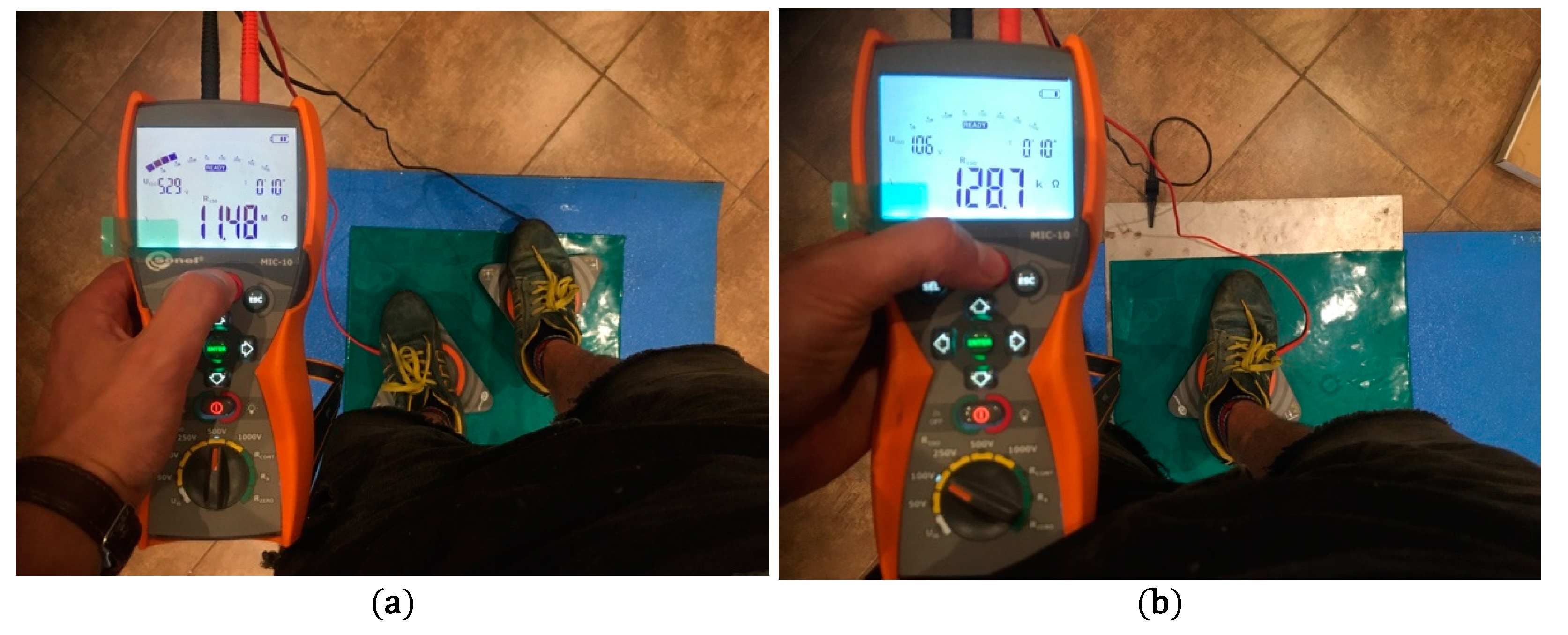 Molecules 26 05778 g010