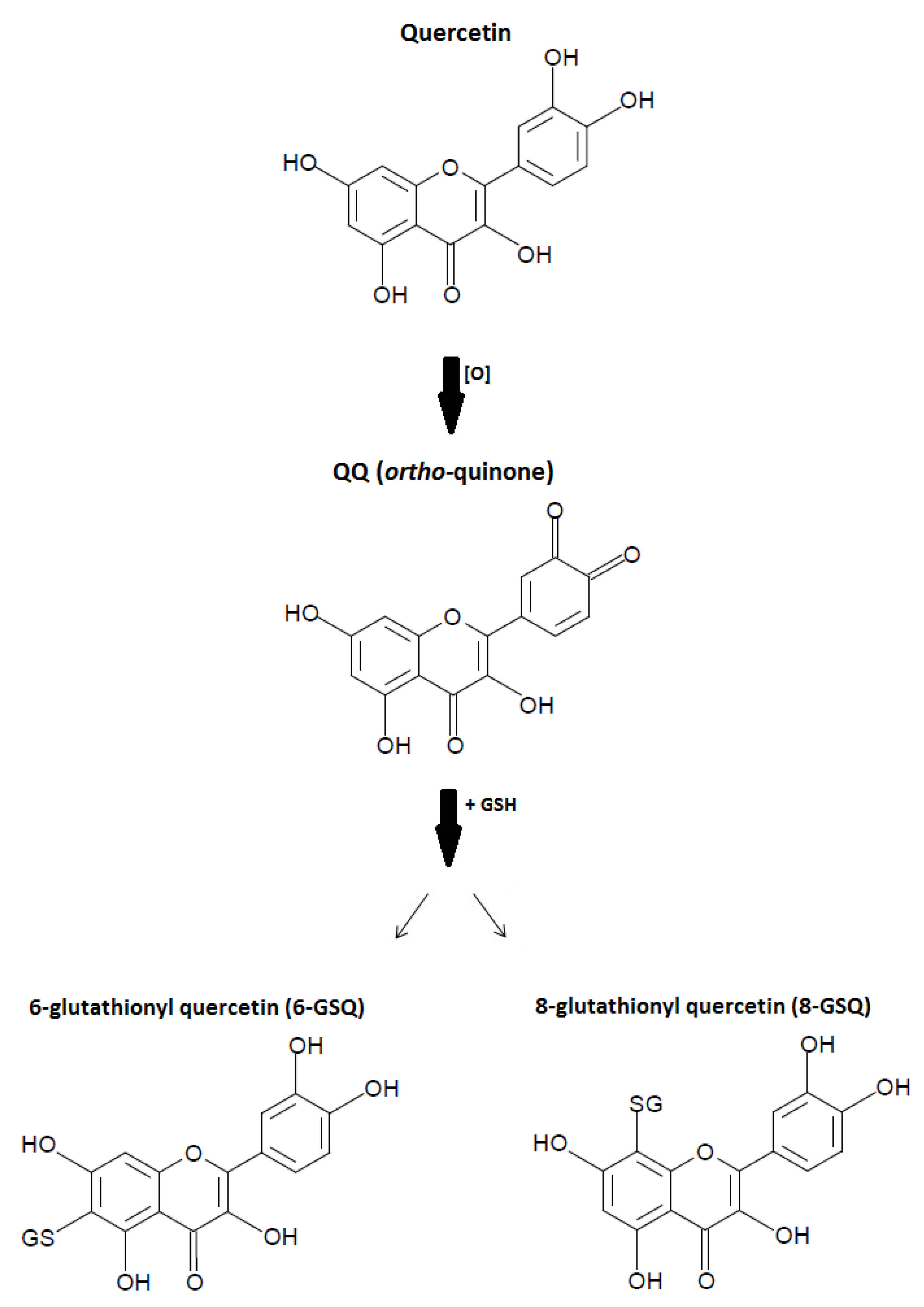 Molecules 26 05781 g004