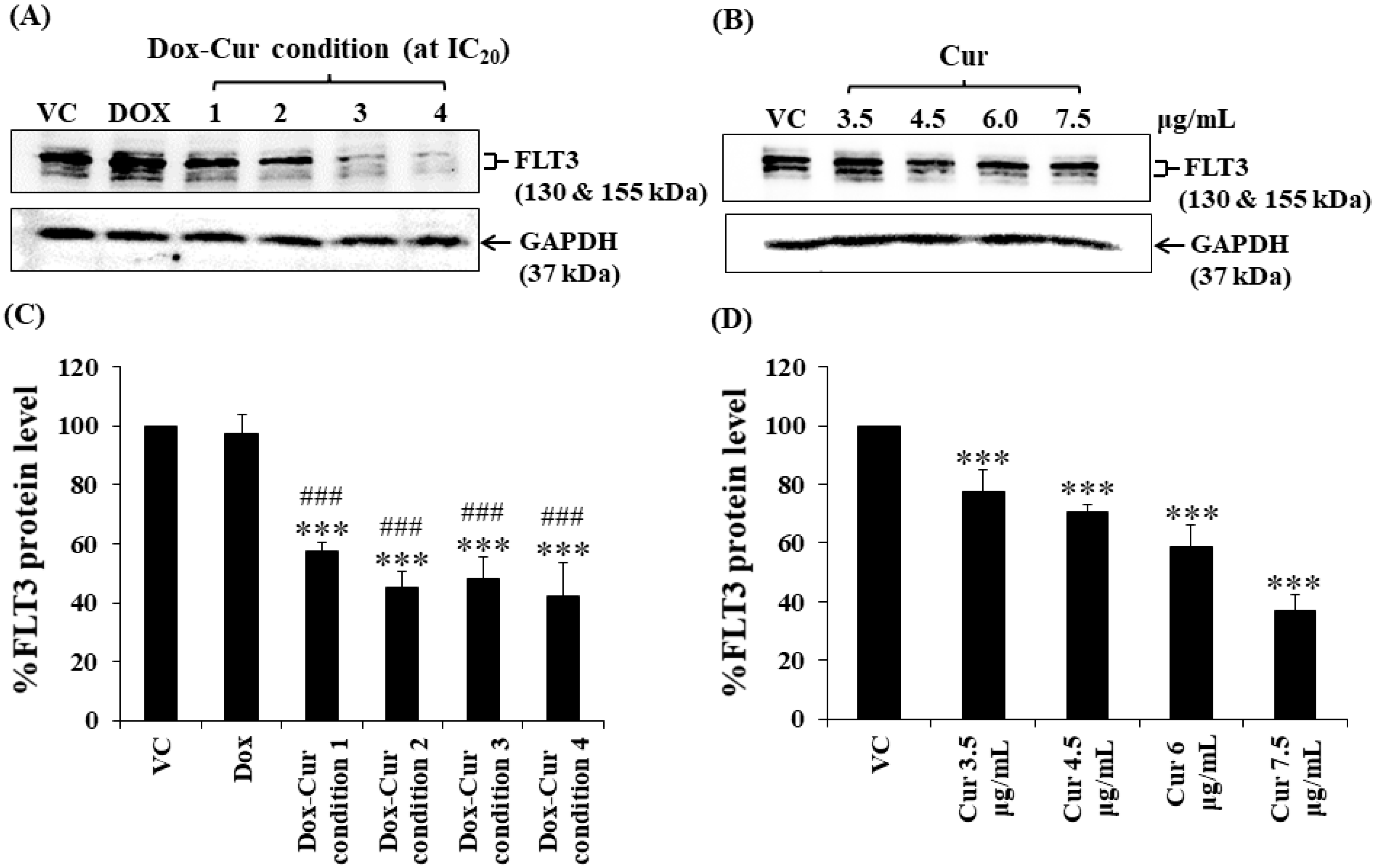 Molecules 26 05785 g003