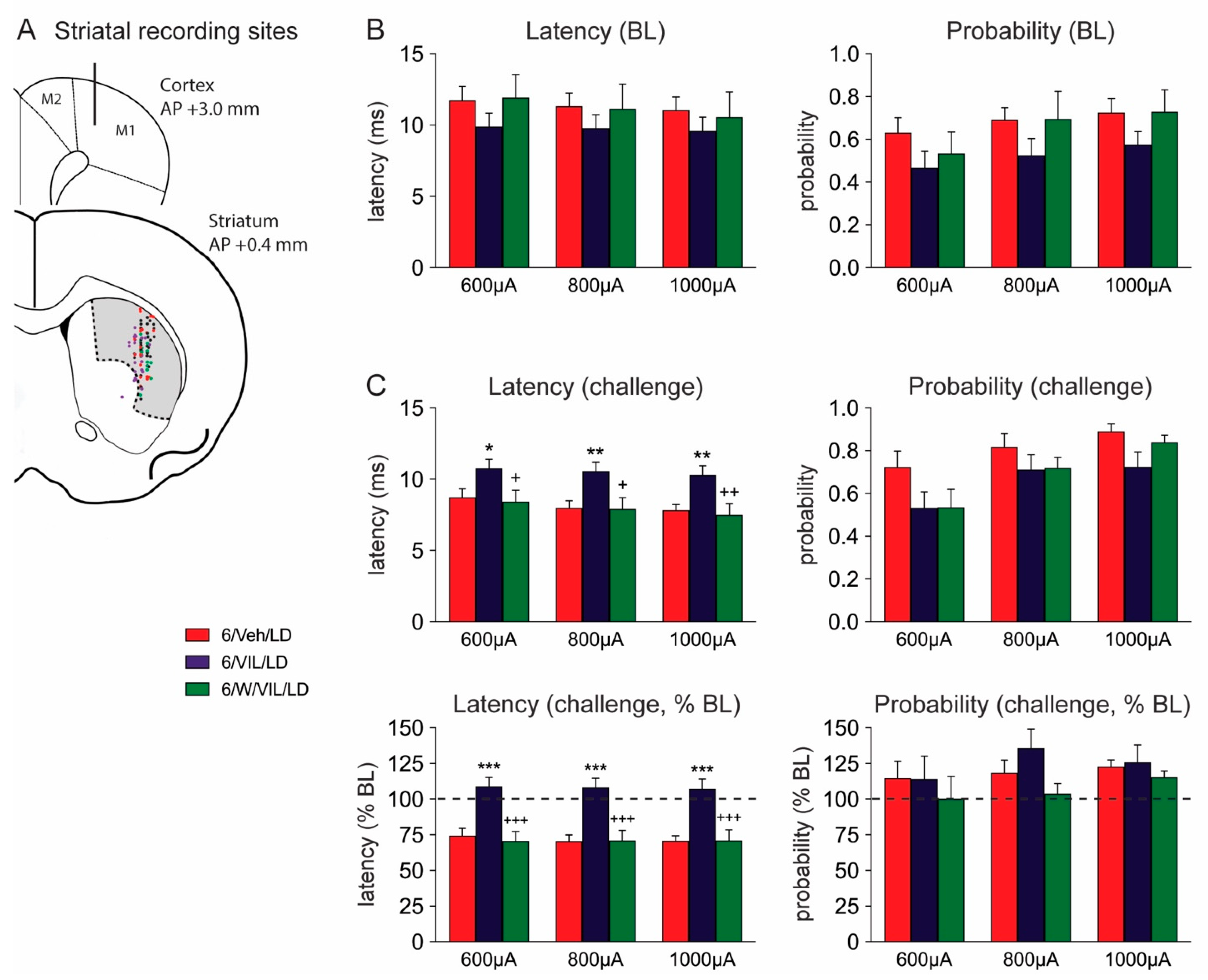 Molecules 26 05790 g004