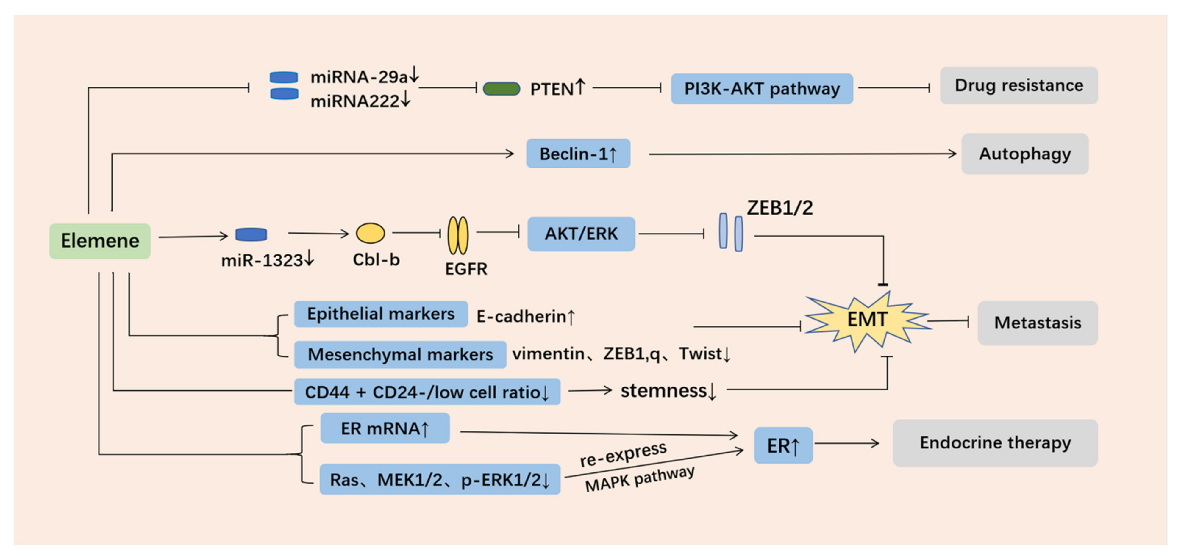 Molecules 26 05792 g005