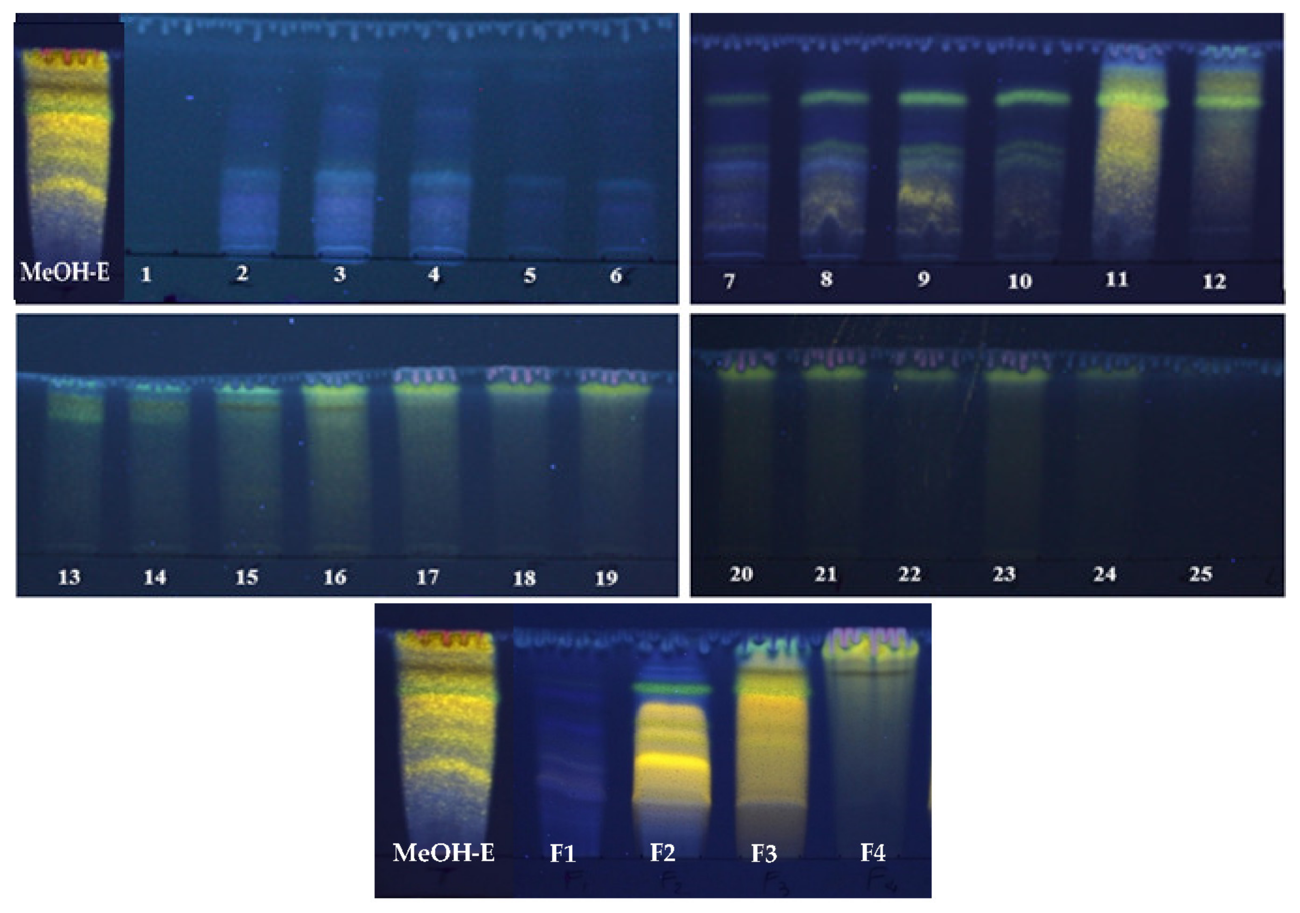 Molecules 26 05800 g001