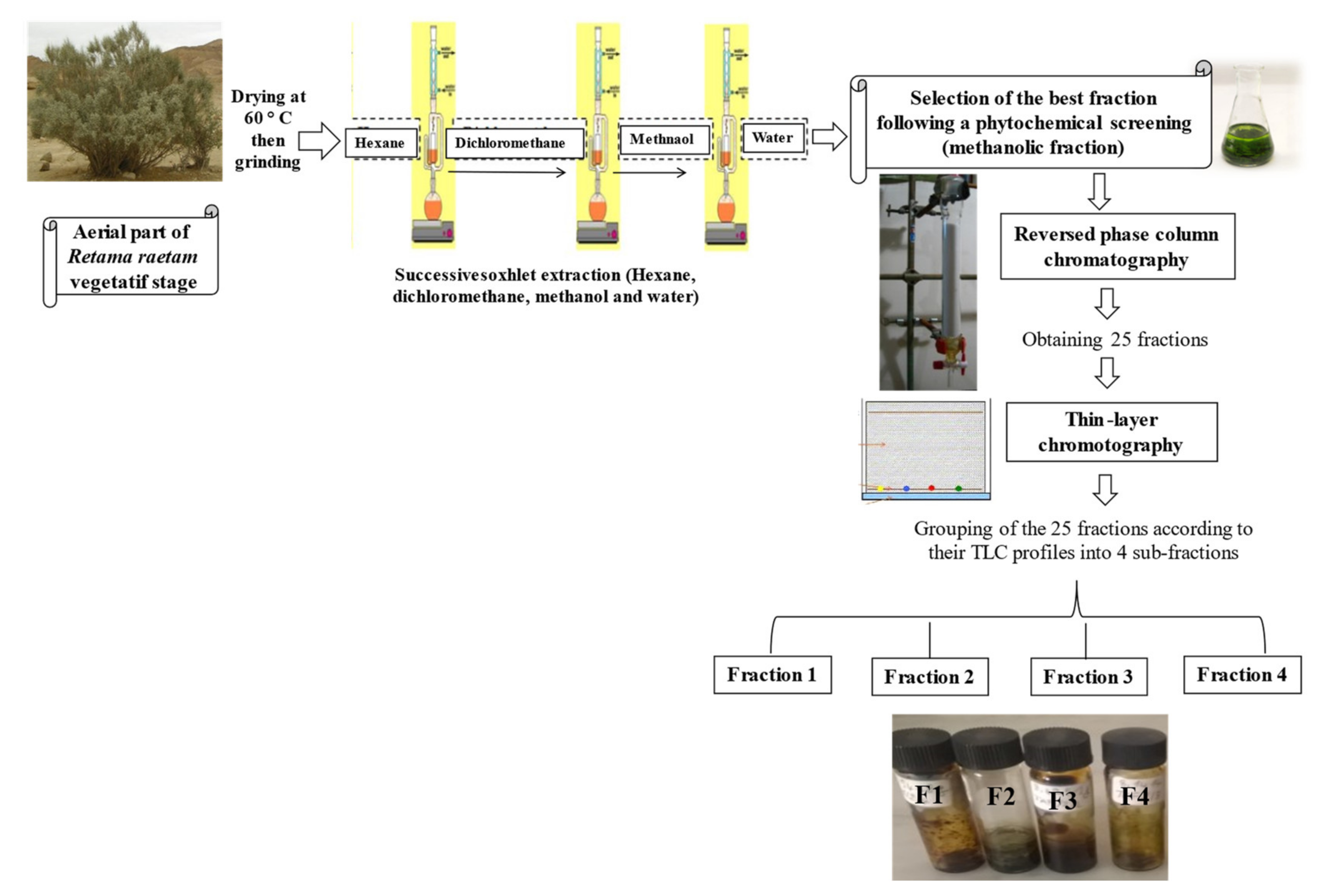 Molecules 26 05800 g004