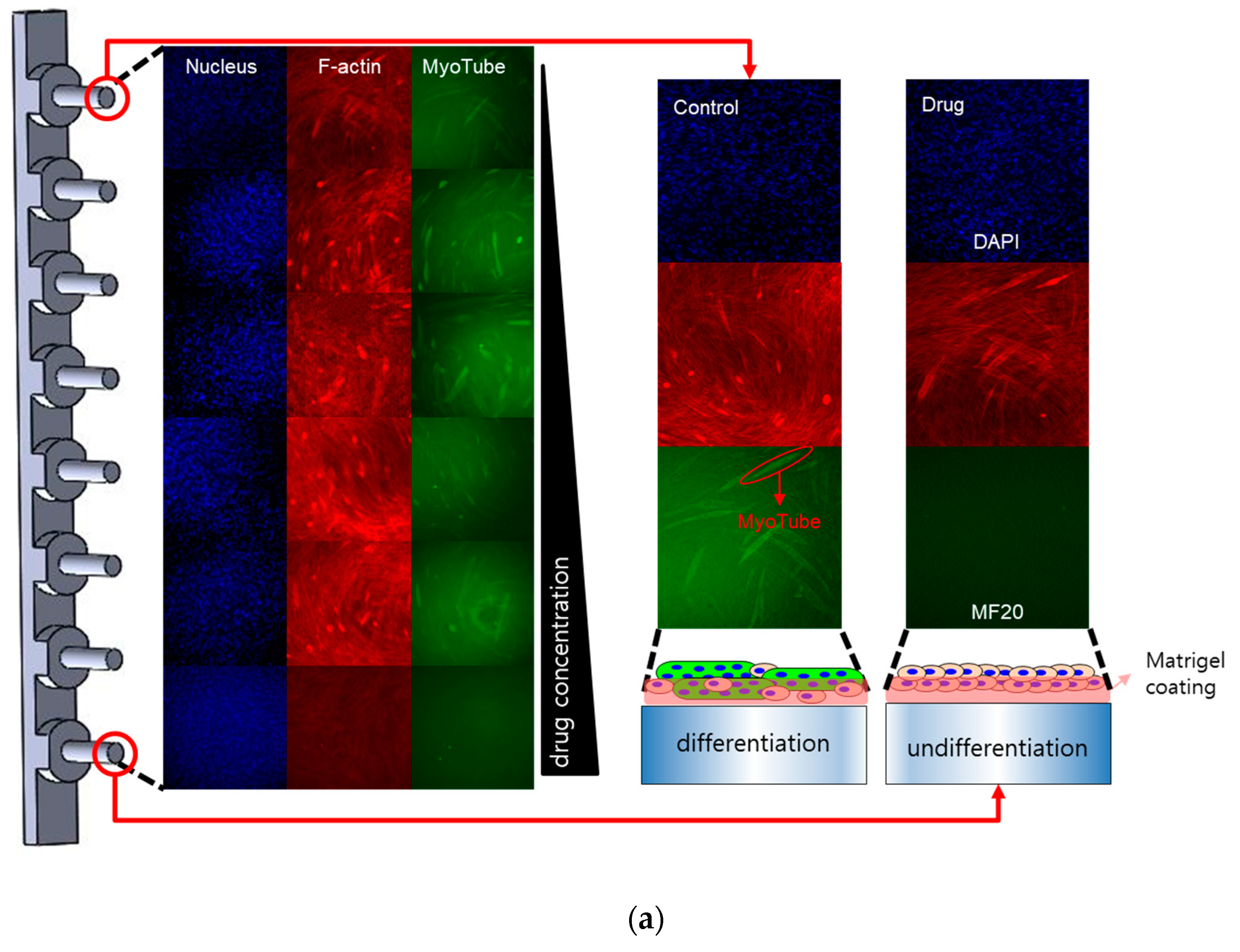 Molecules 26 05805 g001a