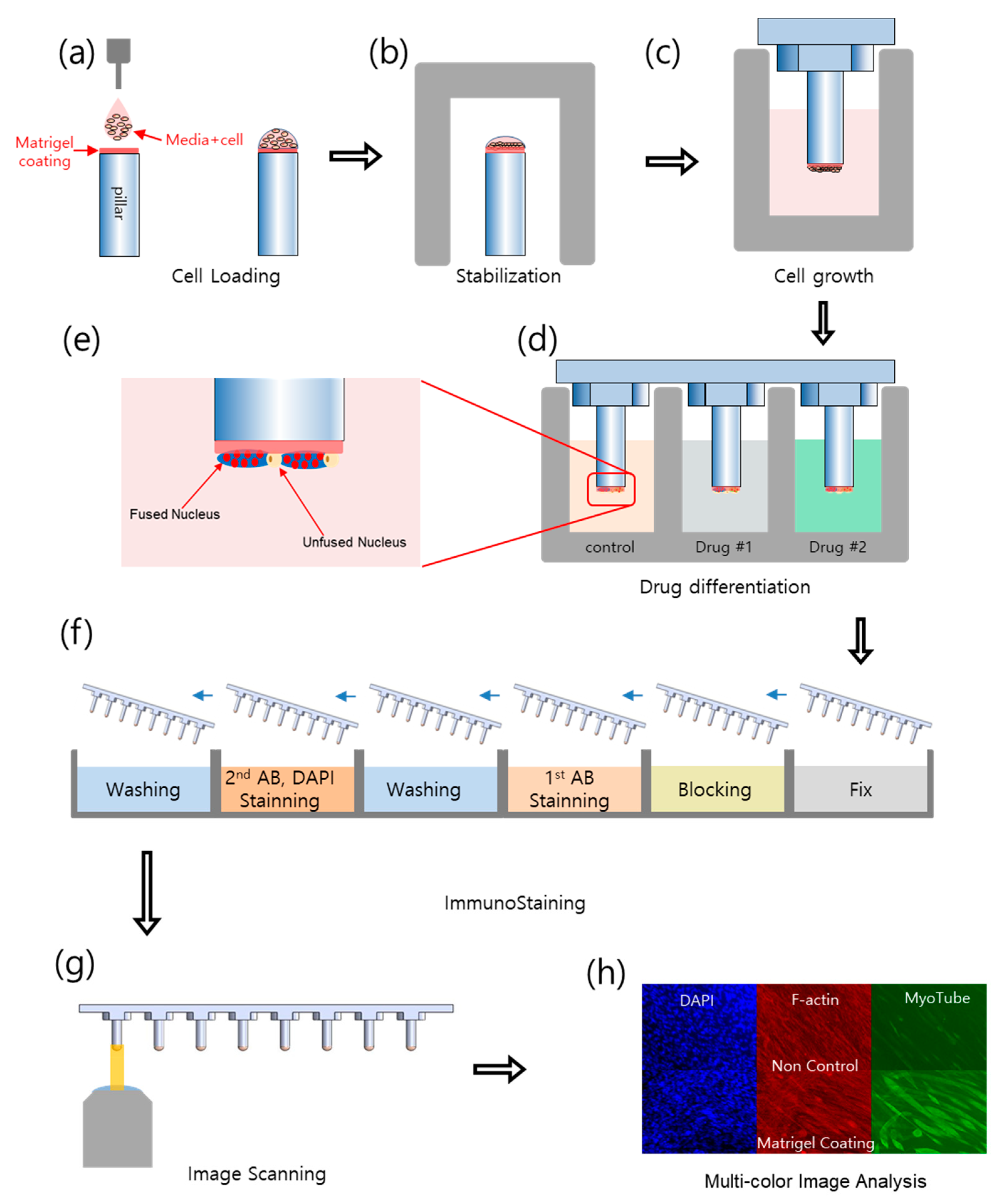 Molecules 26 05805 g002