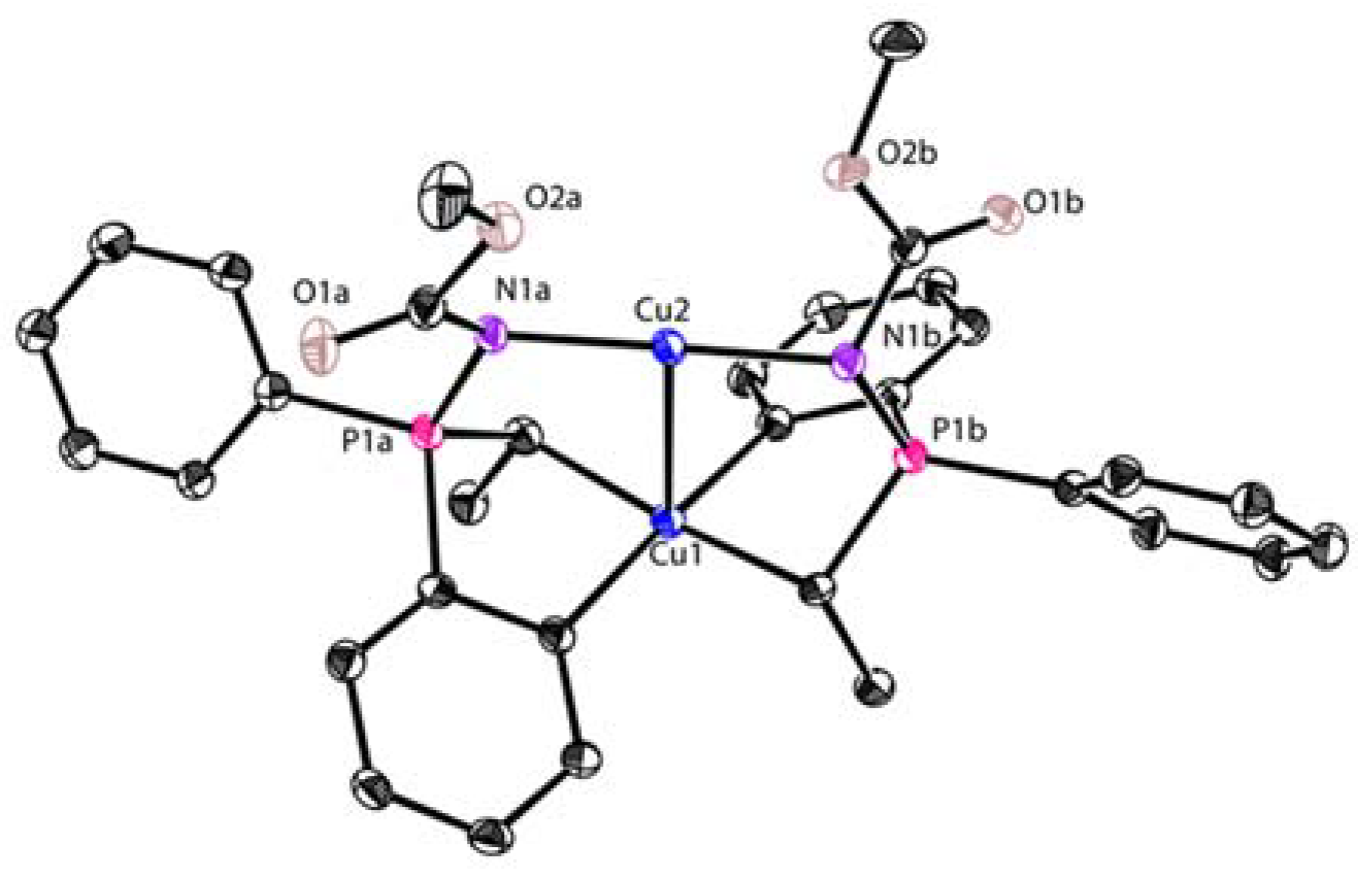 Molecules 26 05806 g002