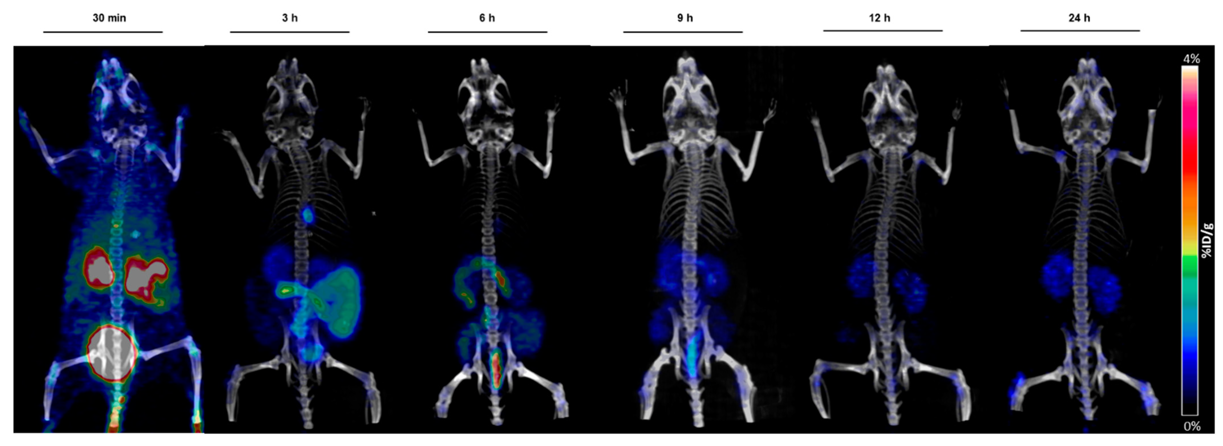Molecules 26 05819 g004