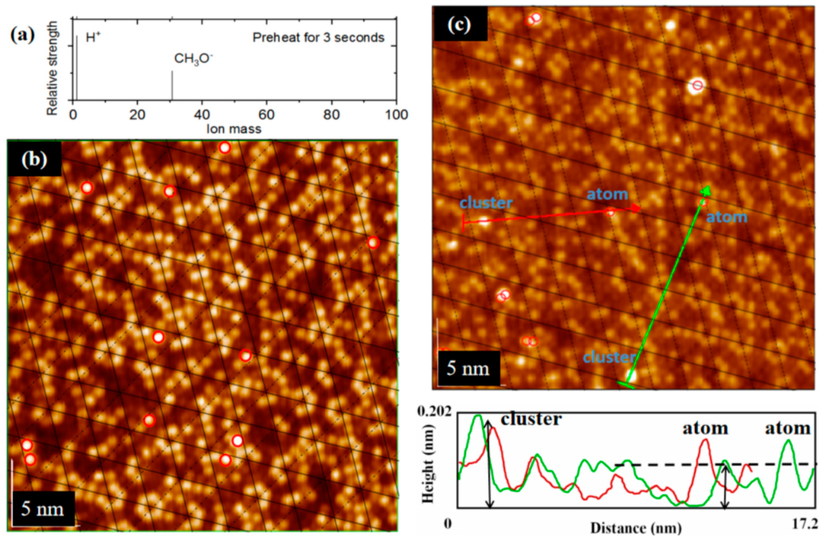 Molecules 26 05824 g005a