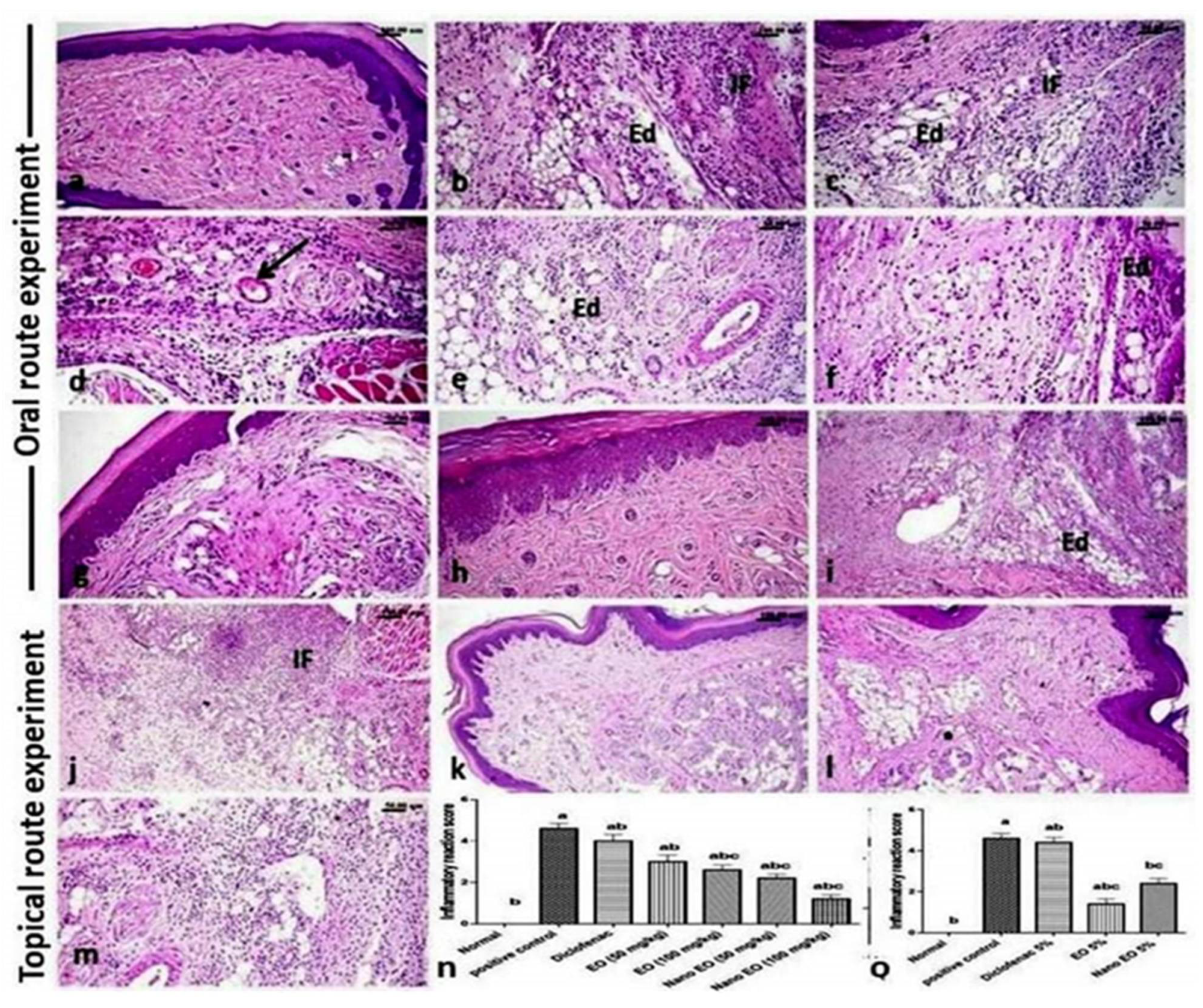 Molecules 26 05833 g006