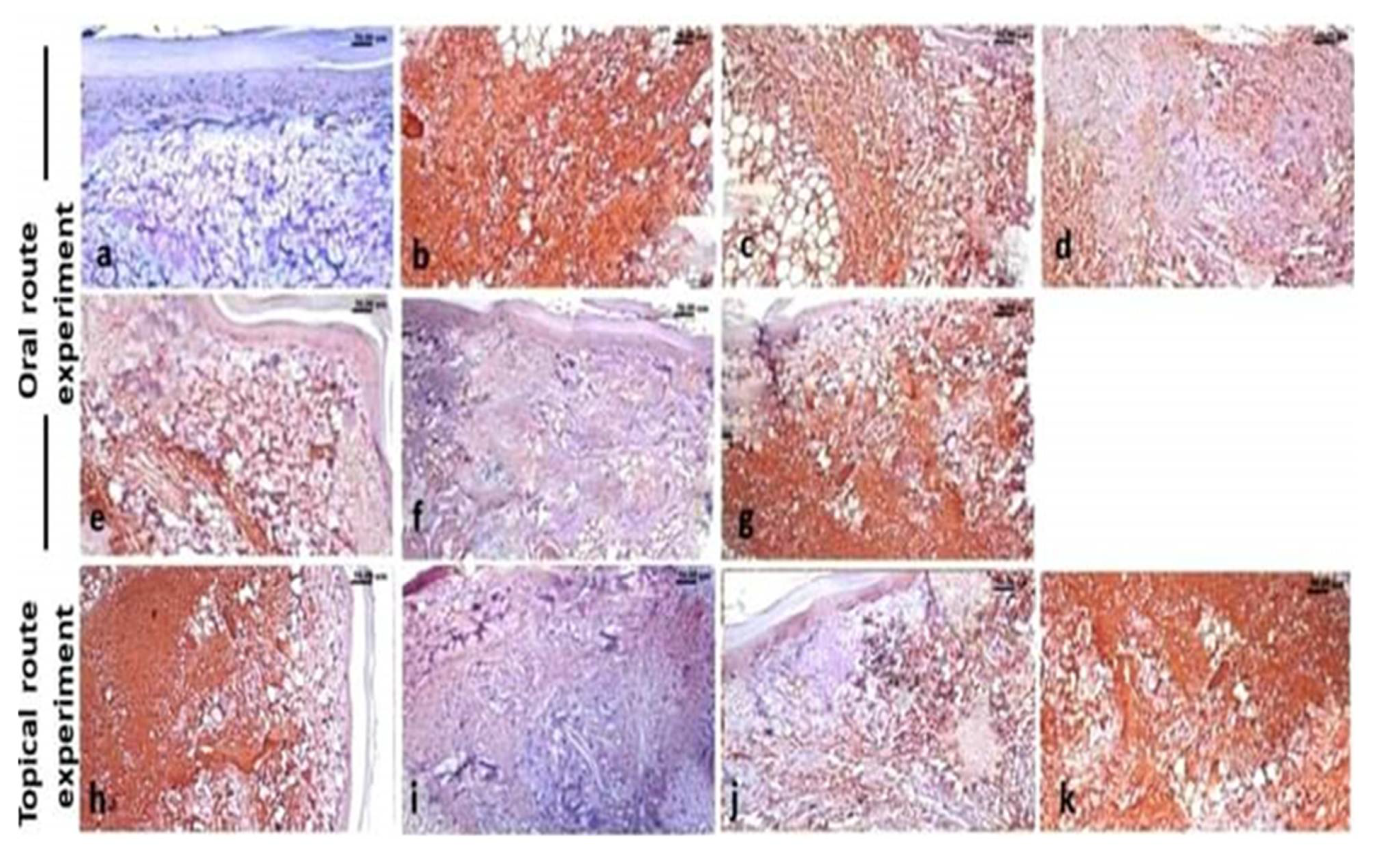 Molecules 26 05833 g007