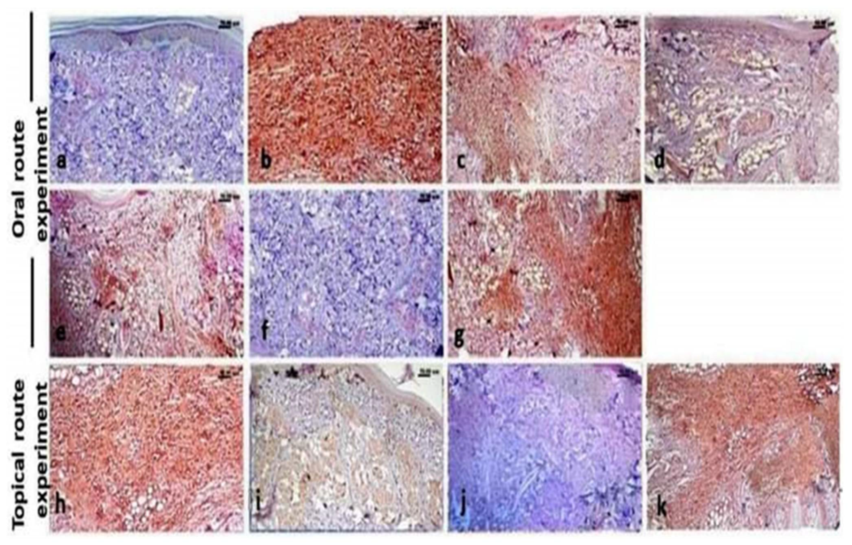 Molecules 26 05833 g008