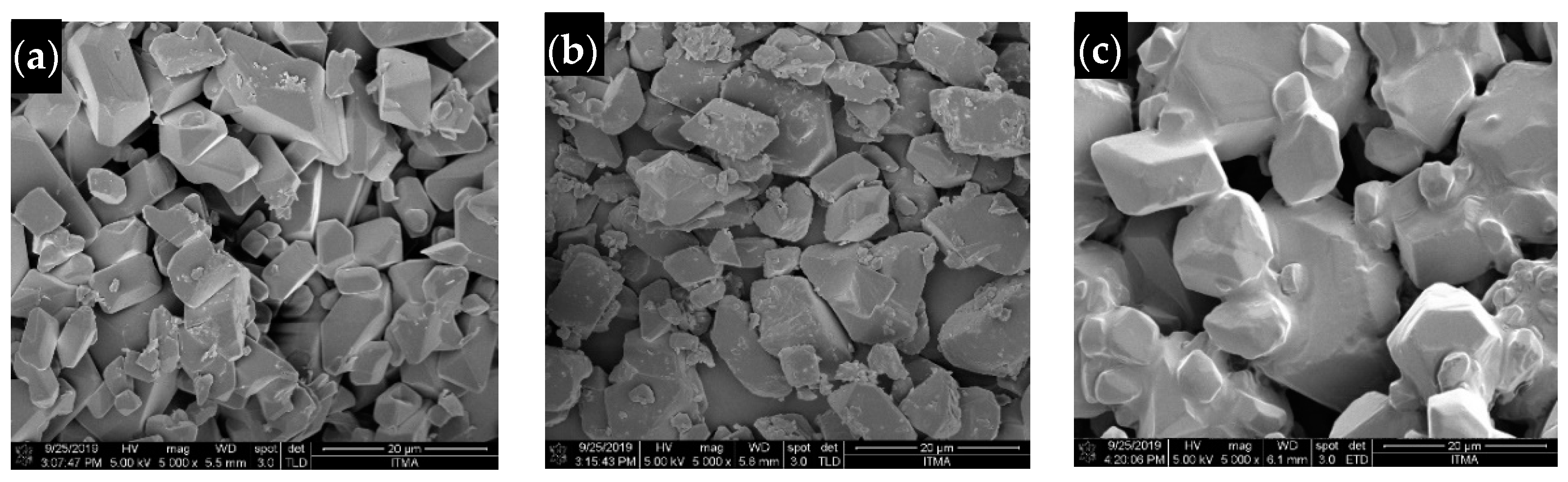 Molecules 26 05837 g006