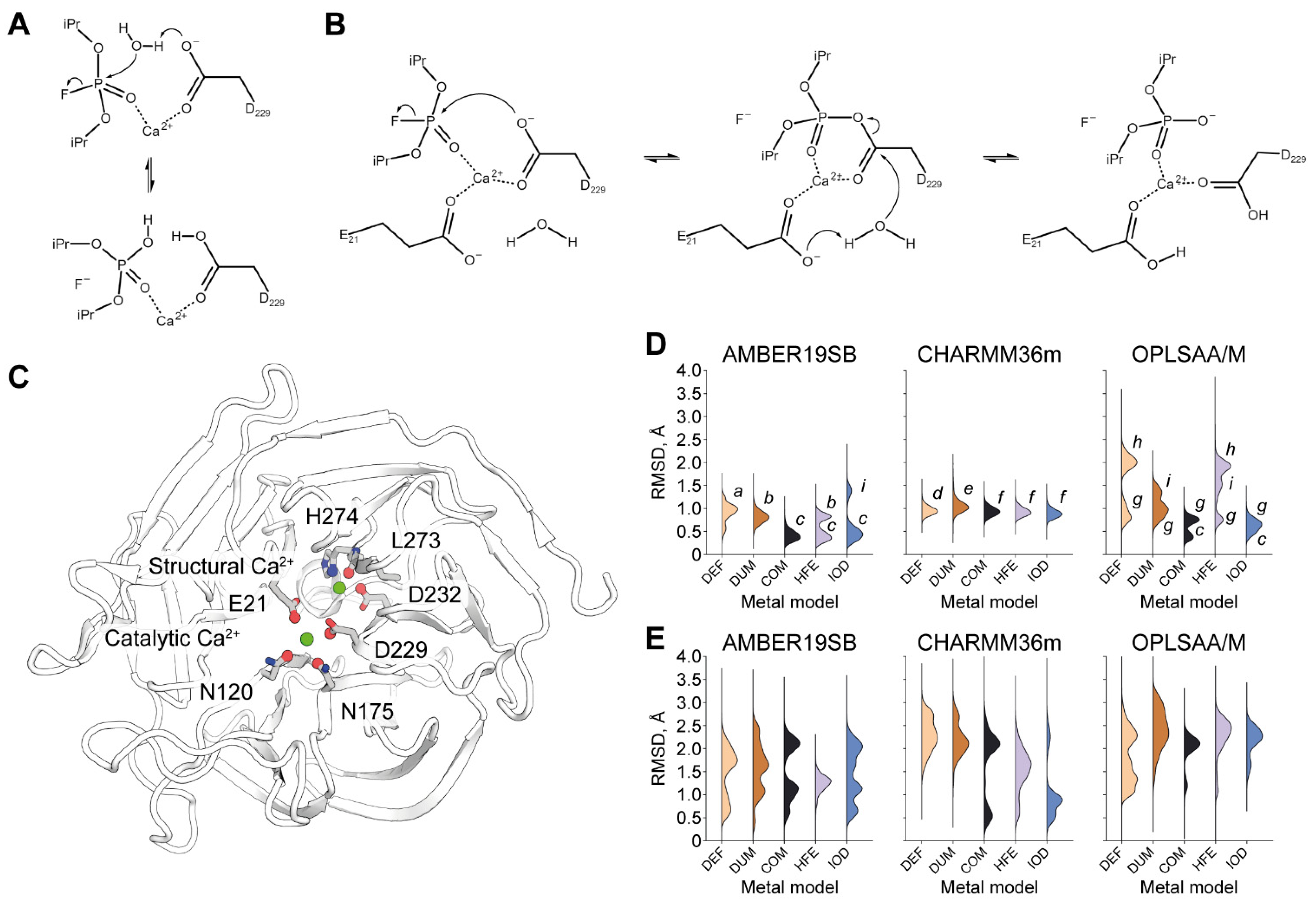 Molecules 26 05839 g001
