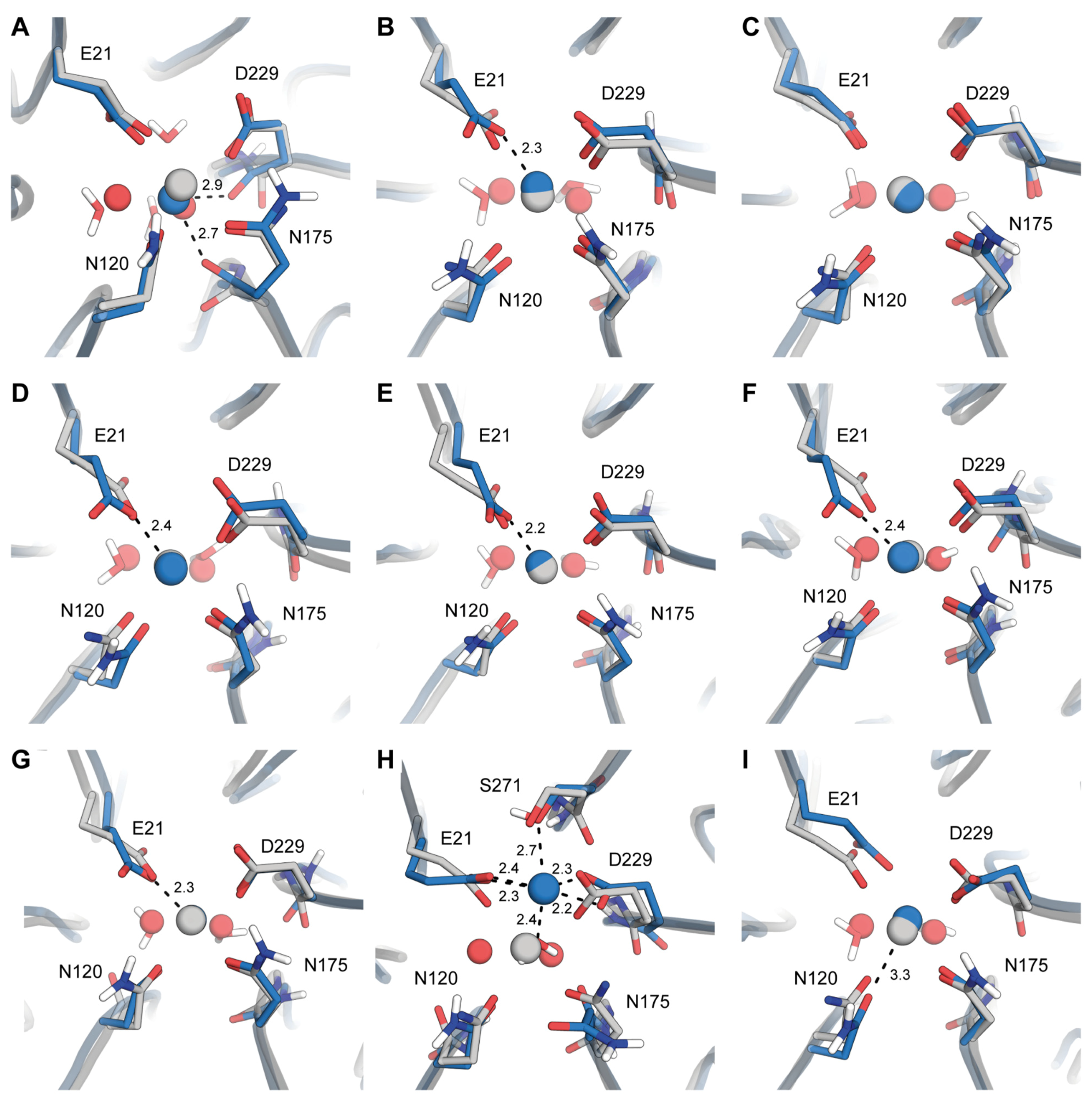 Molecules 26 05839 g002