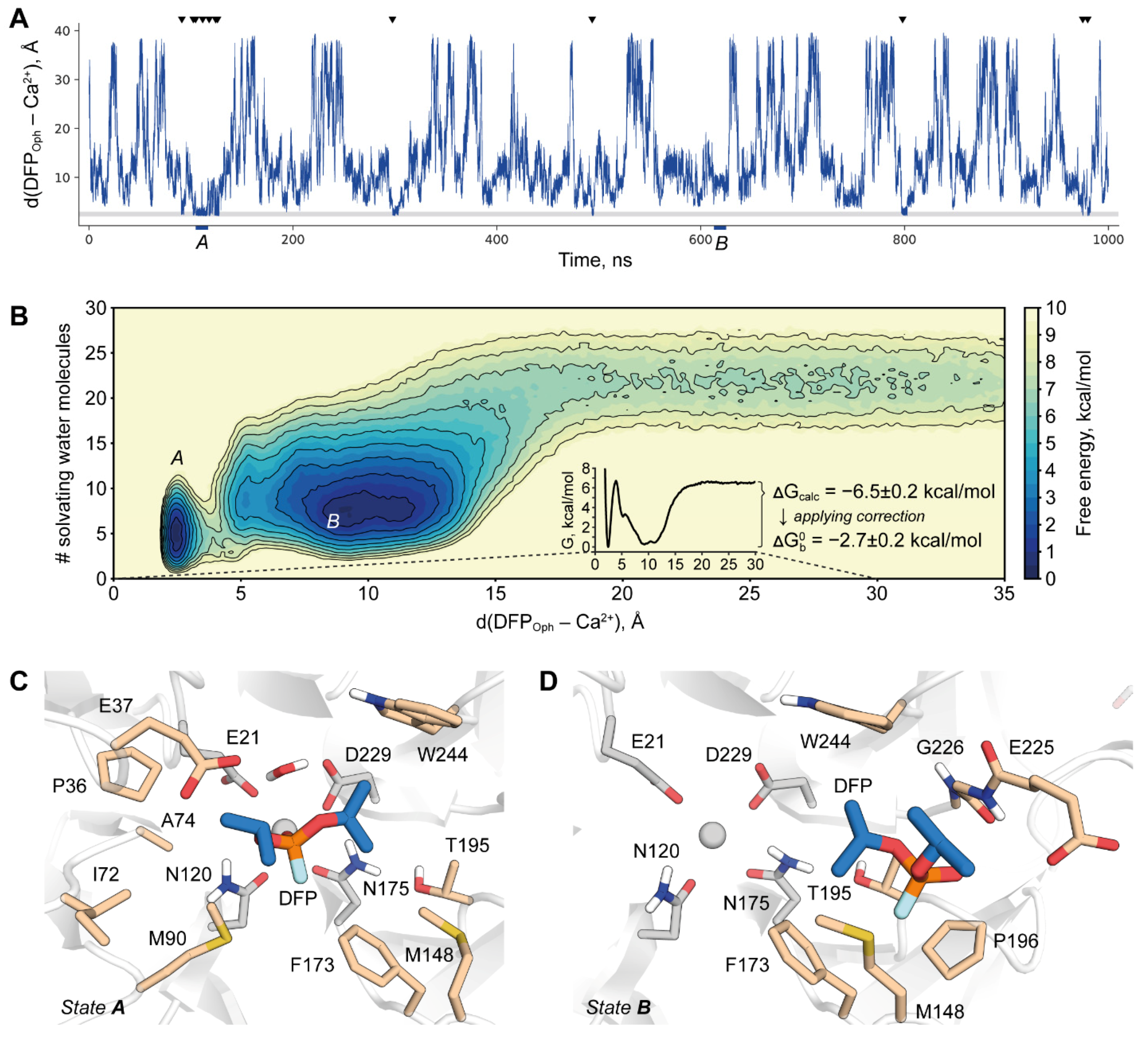 Molecules 26 05839 g004