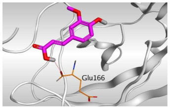 Molecules 26 05844 i001 Molecules 26 05844 i001