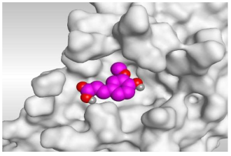Molecules 26 05844 i002 Molecules 26 05844 i002