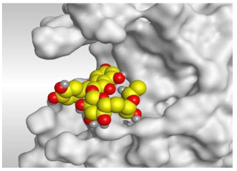 Molecules 26 05844 i004 Molecules 26 05844 i004