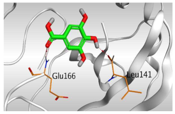 Molecules 26 05844 i005 Molecules 26 05844 i005