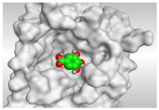 Molecules 26 05844 i006 Molecules 26 05844 i006