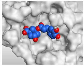 Molecules 26 05844 i008 Molecules 26 05844 i008