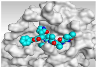 Molecules 26 05844 i010 Molecules 26 05844 i010