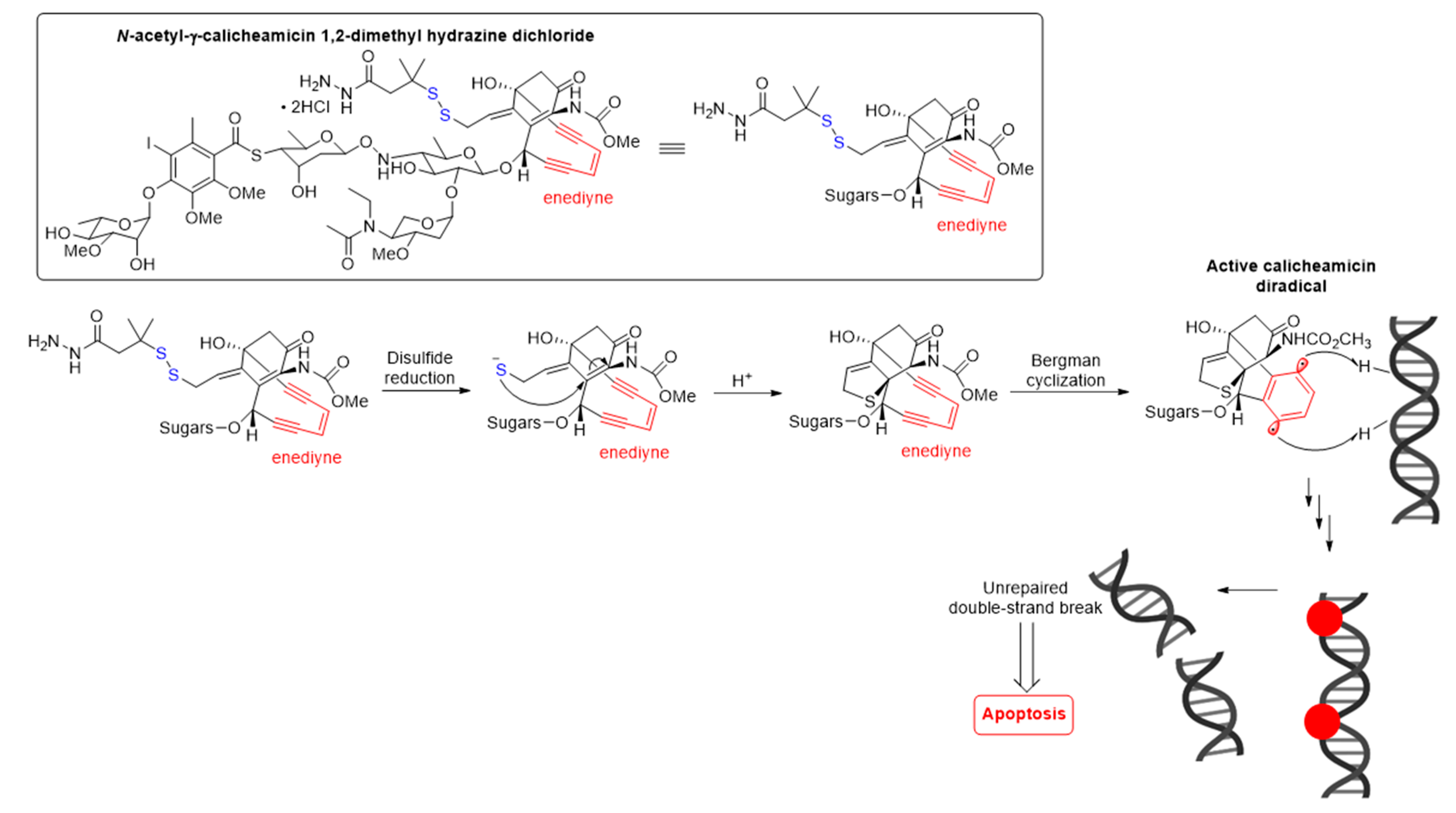 Molecules 26 05847 g005