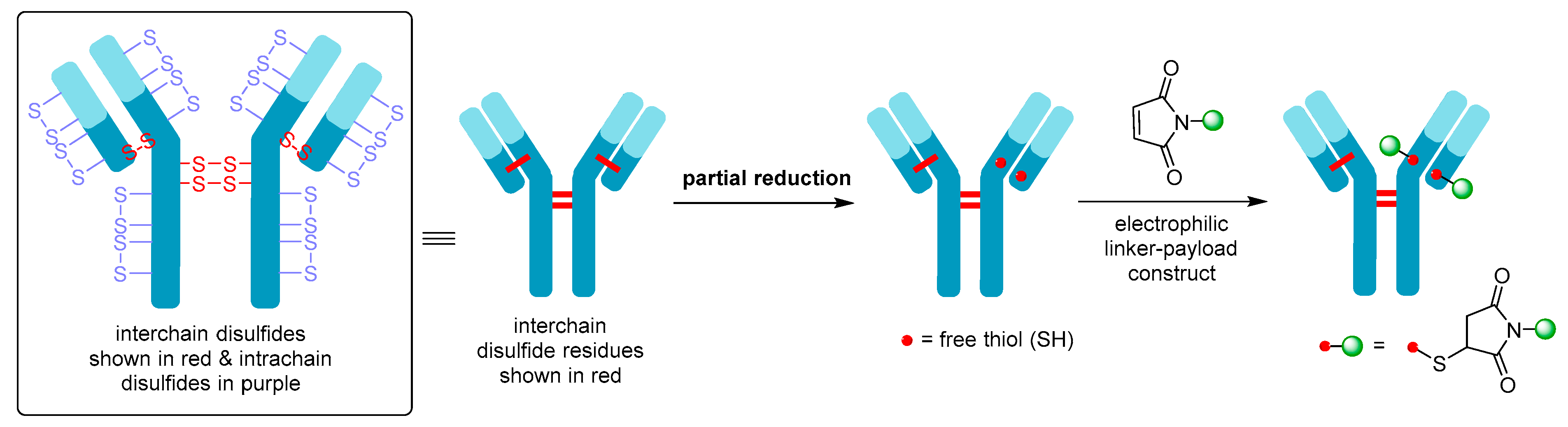 Molecules 26 05847 g007