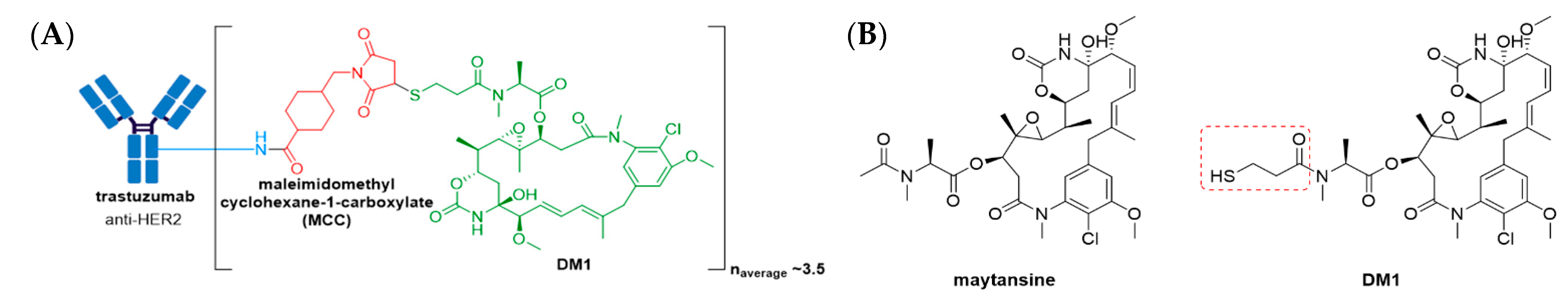 Molecules 26 05847 g008