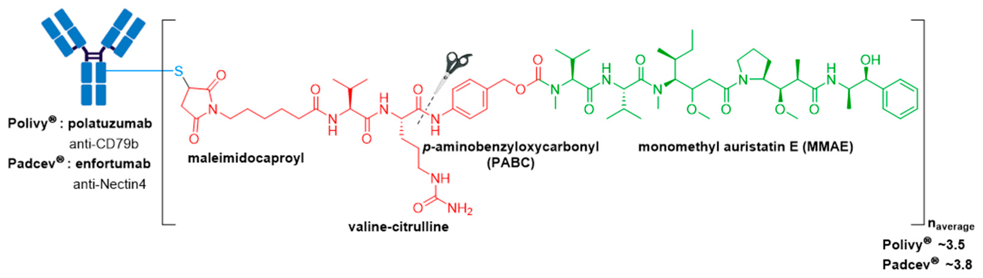 Molecules 26 05847 g010
