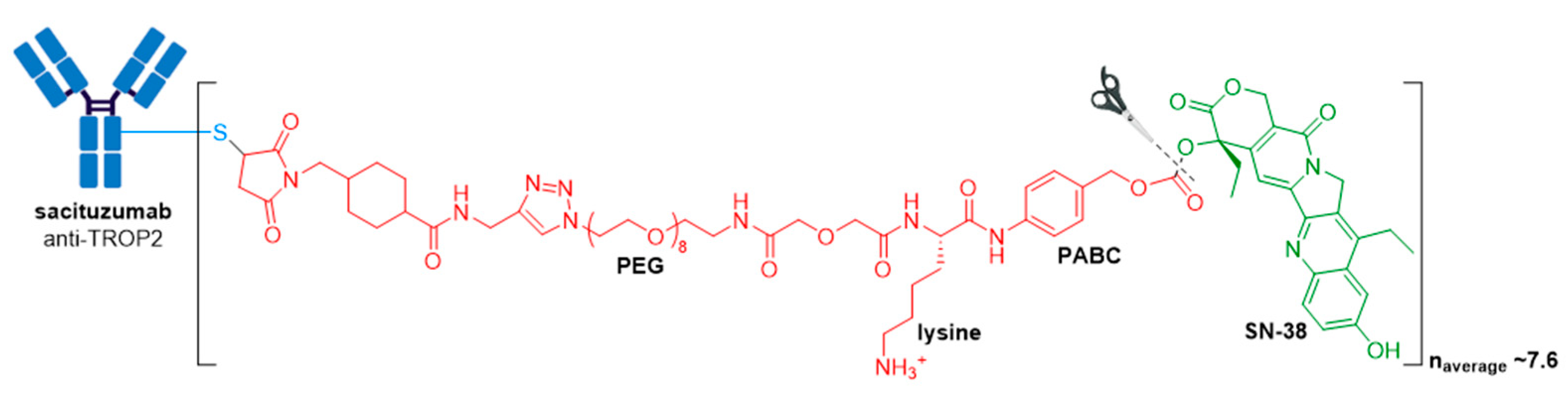 Molecules 26 05847 g012