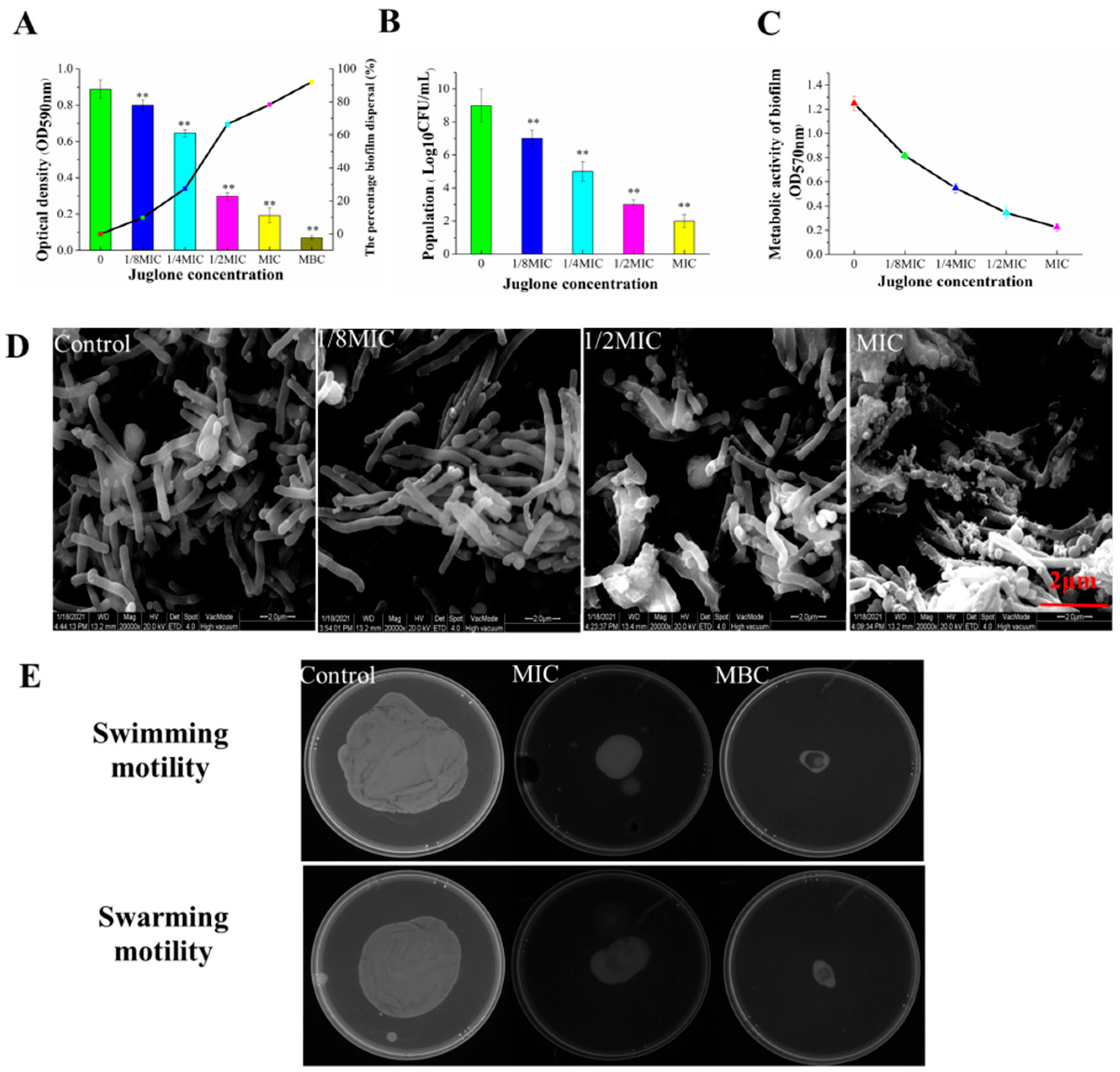 Molecules 26 05854 g007