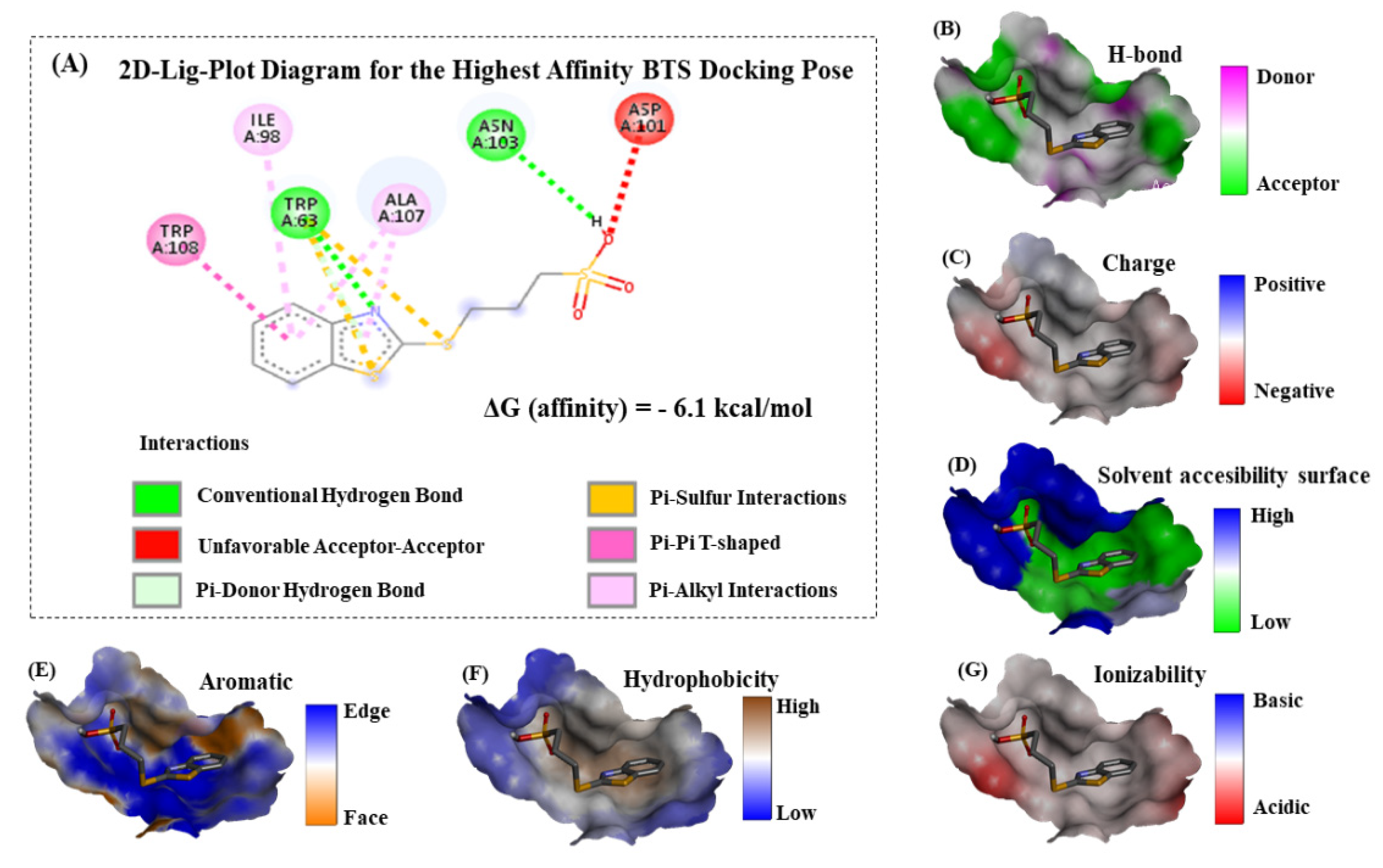 Molecules 26 05855 g006