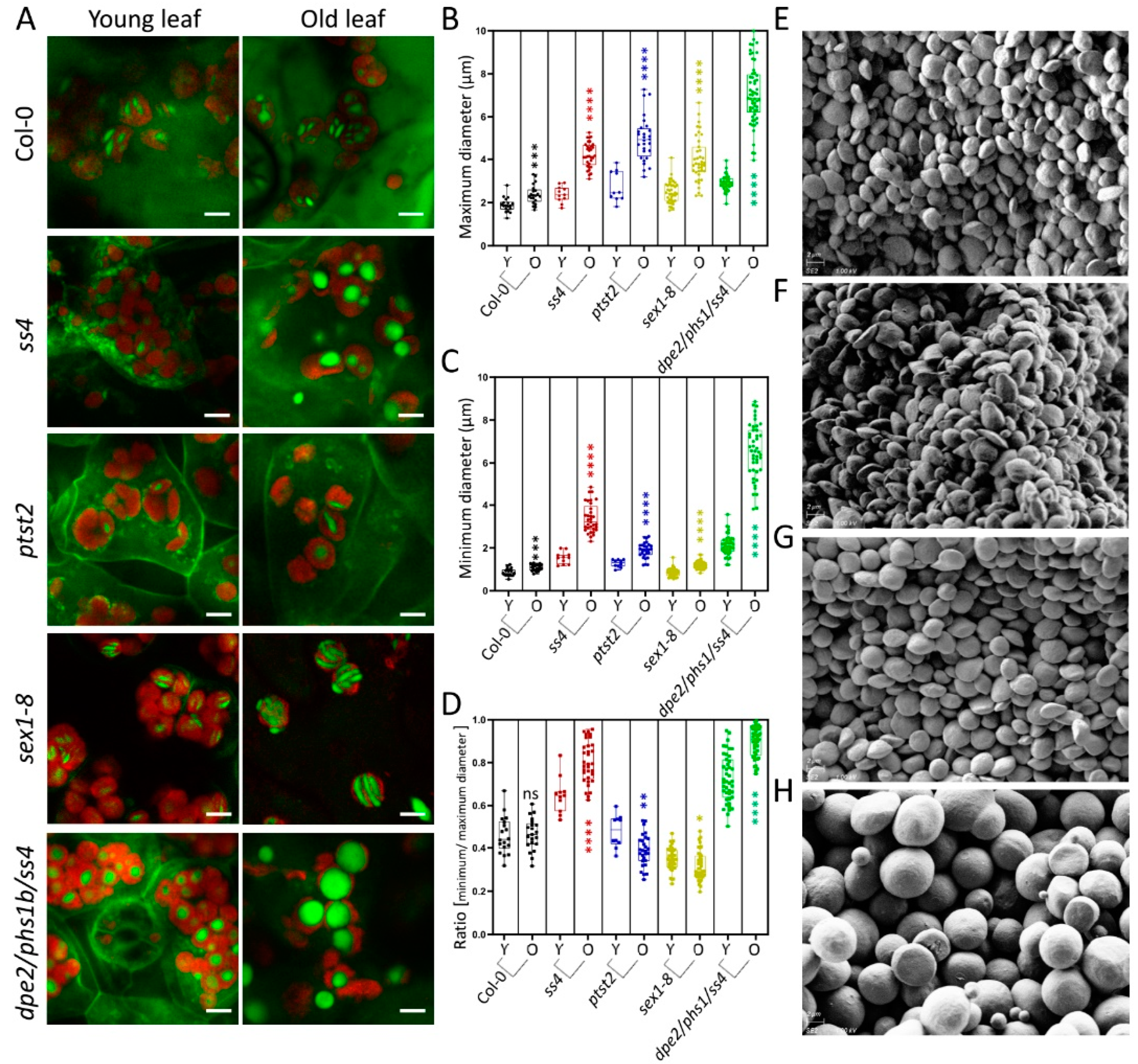 Molecules 26 05859 g003