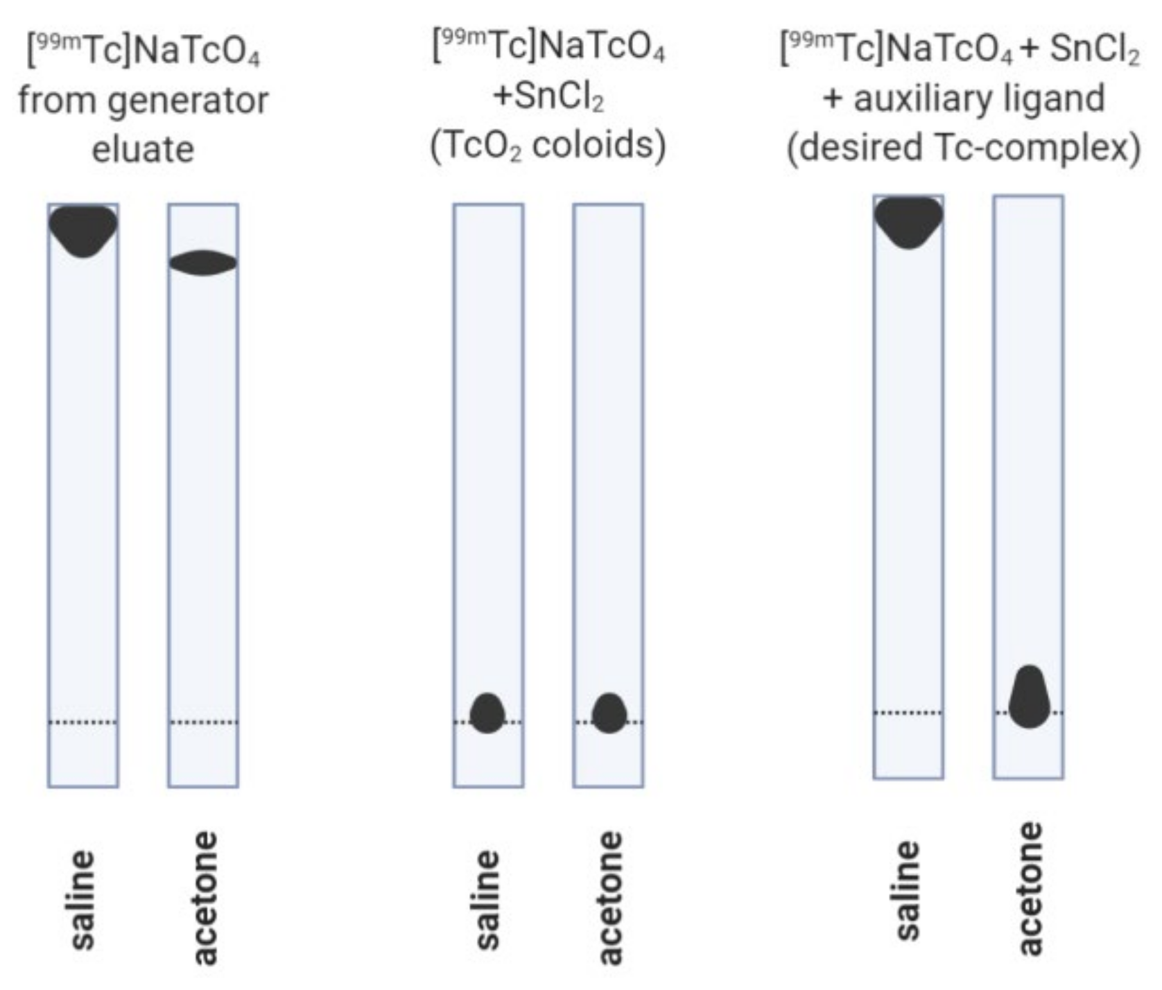Molecules 26 05862 g002